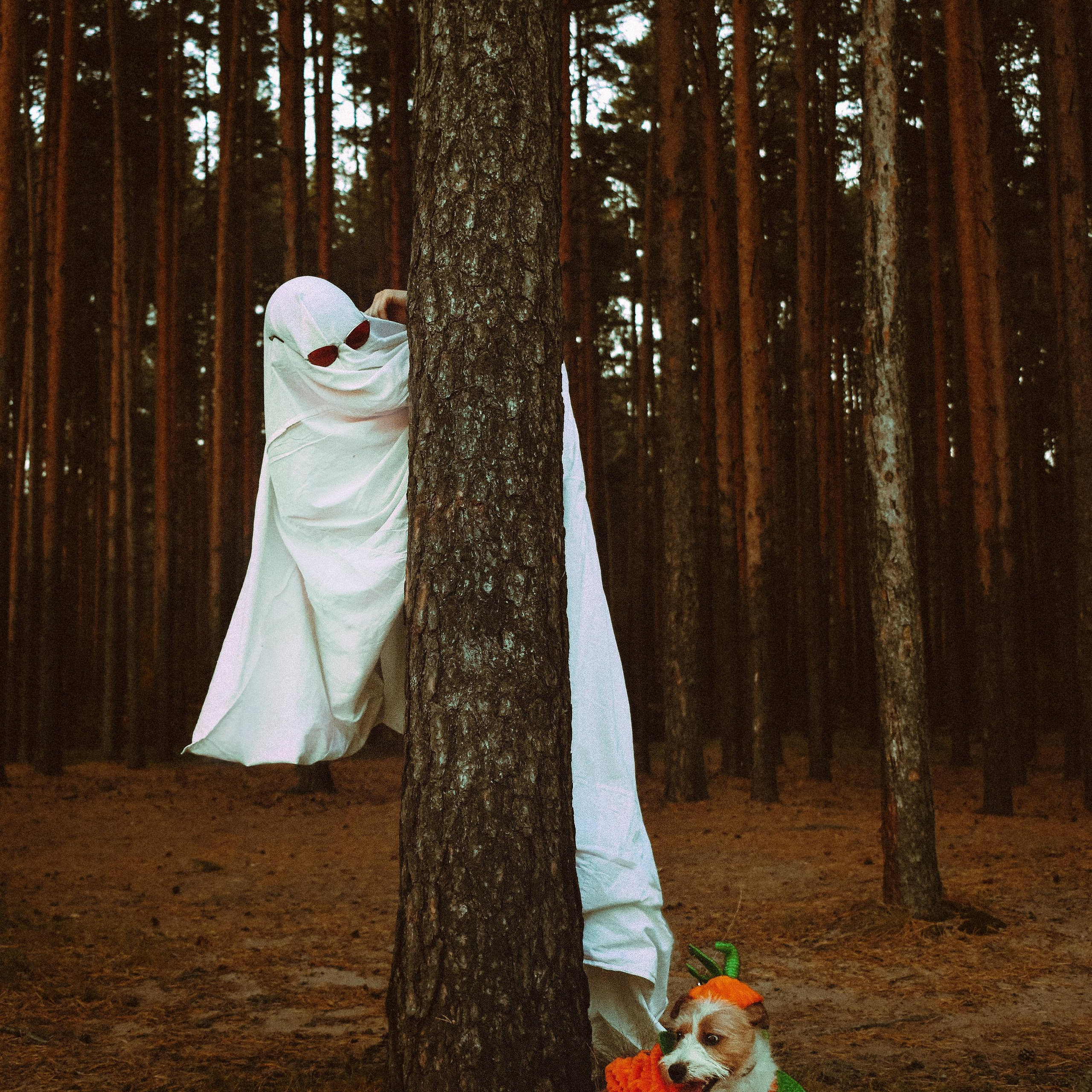 Отзывы. Galchenok