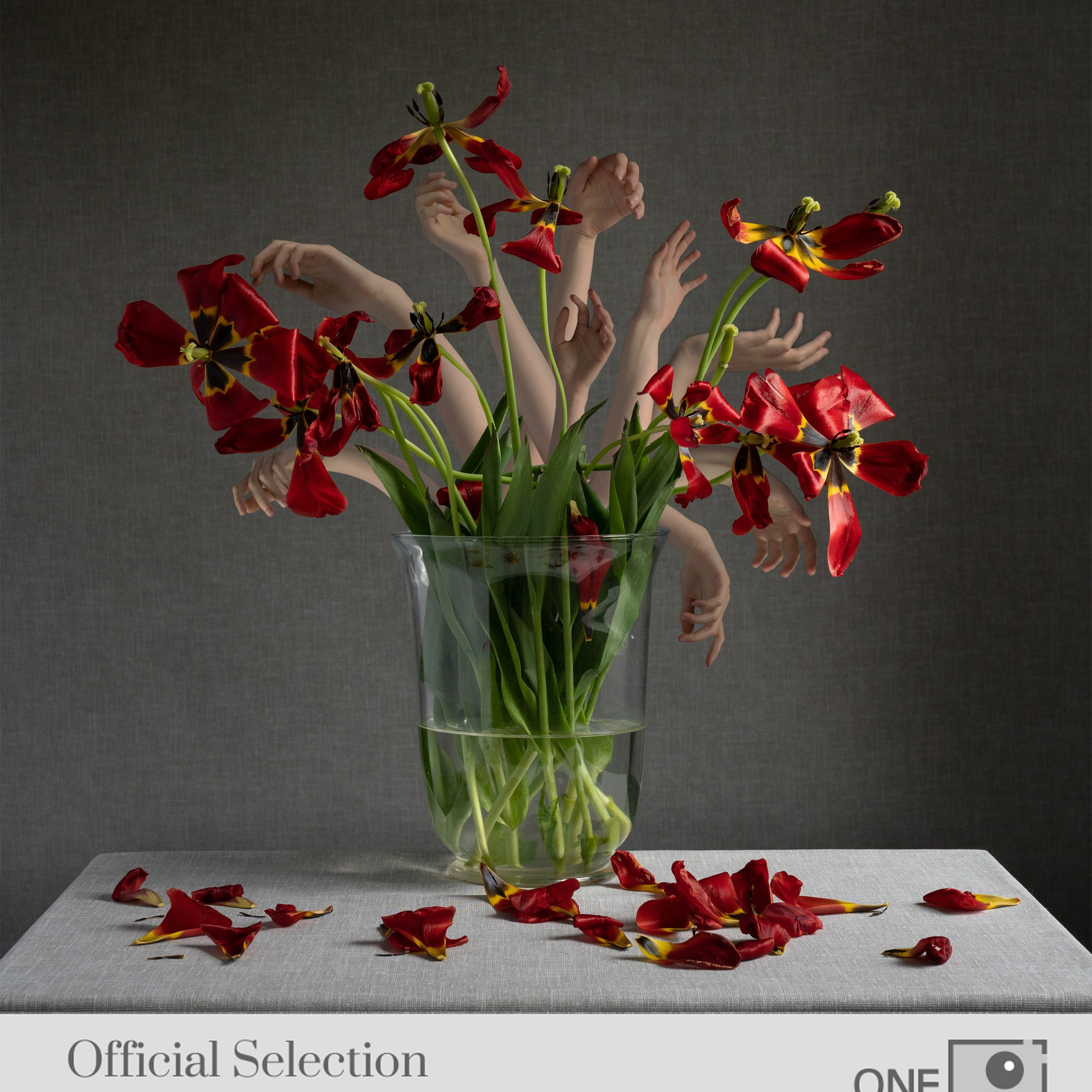 Шоппер «Тюльпаны». Анна Новосельцева. Индивидуальные фотосессии в Москве и М.О