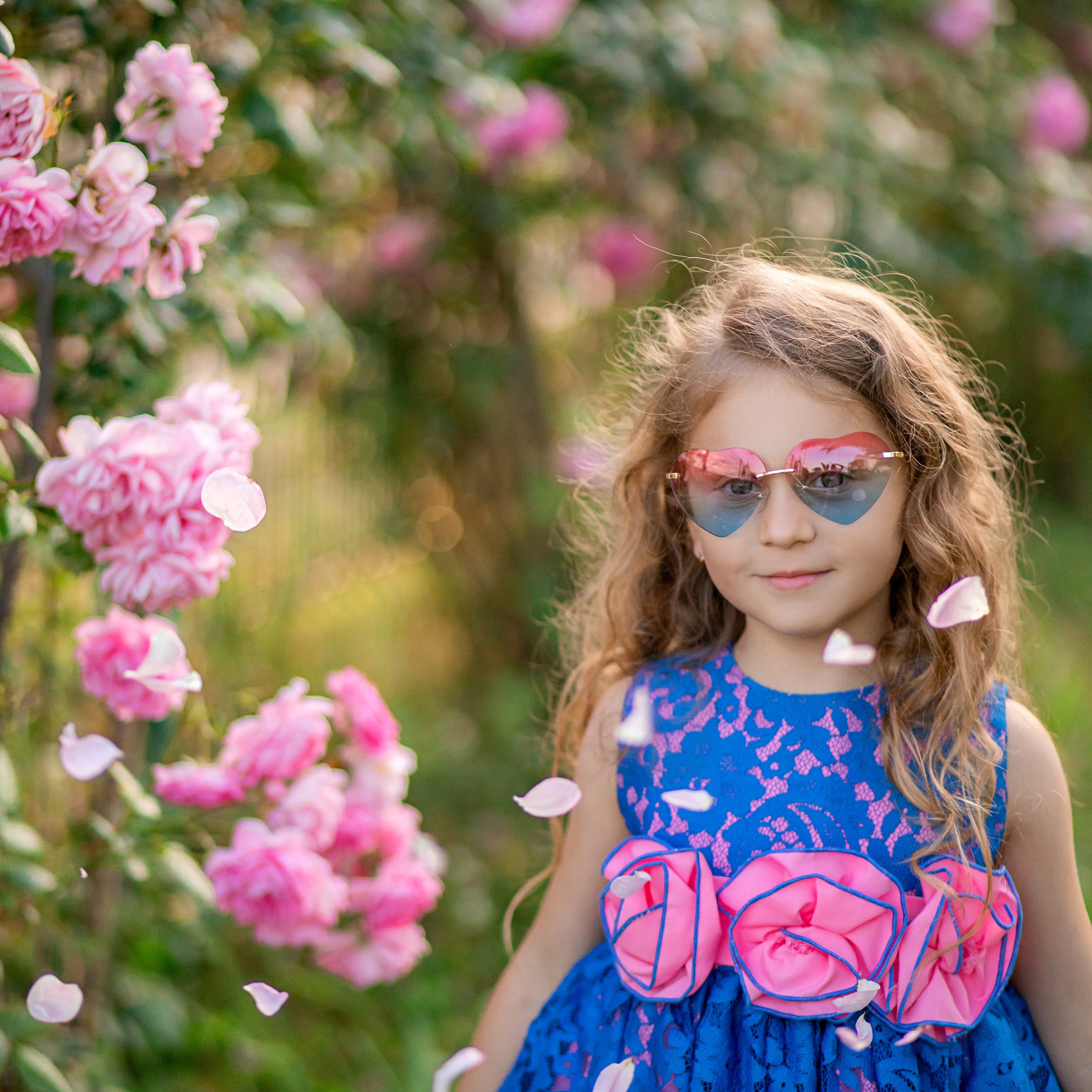 Маргарита. Разгар цветения в&nbsp;Сочи