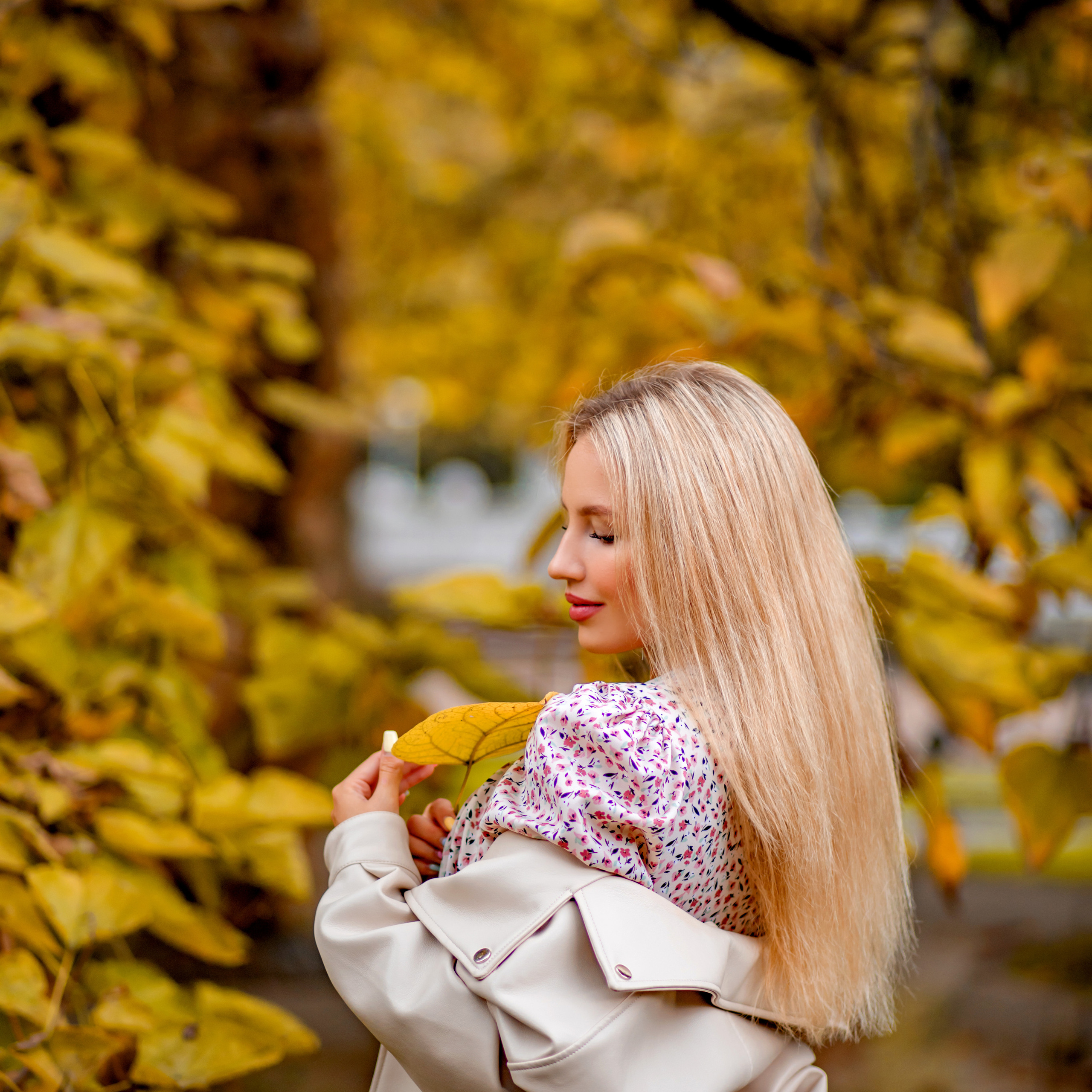 Осенняя прогулка