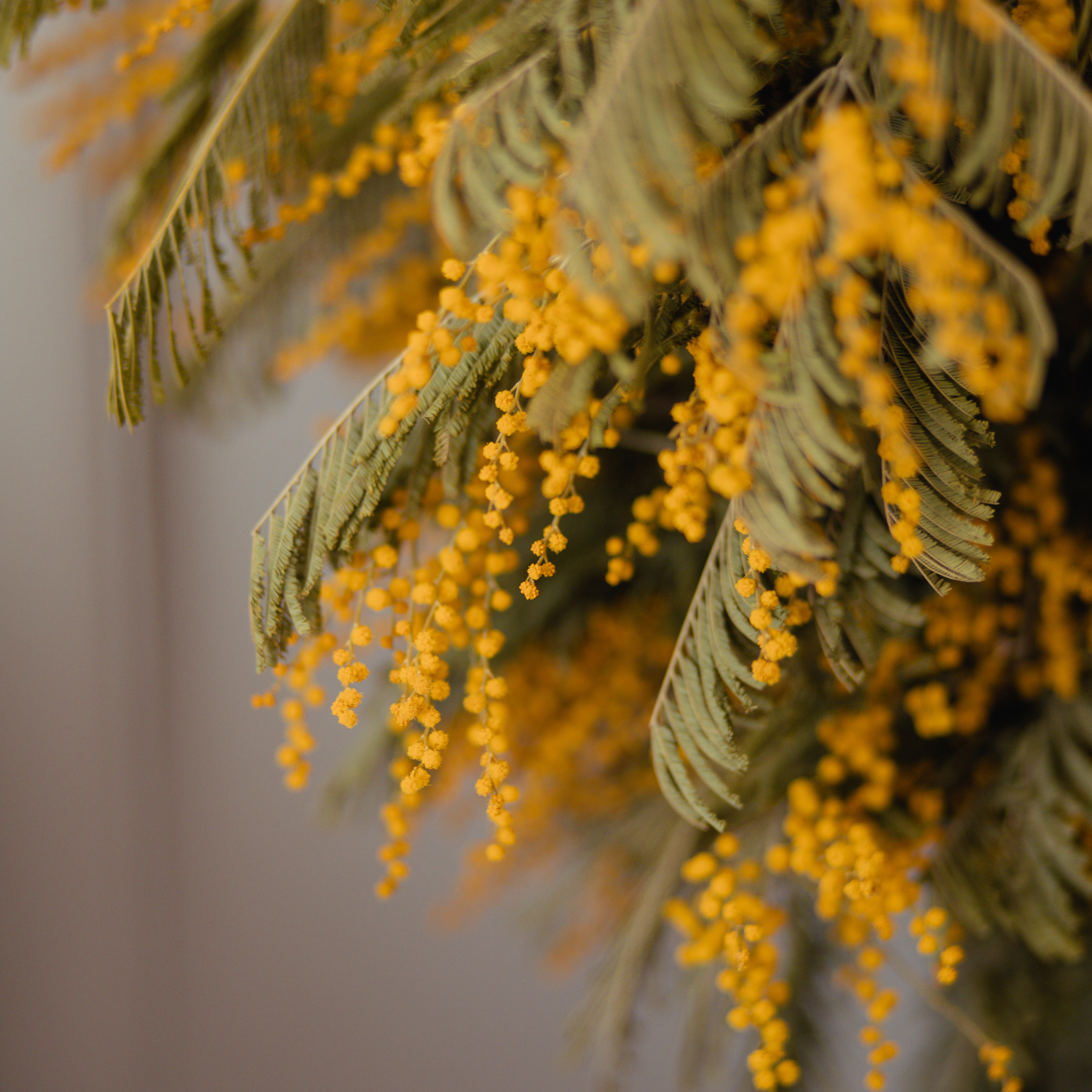 Отзывы. Фотограф Москва. Семейные и индивидуальные фотосессии в Москве