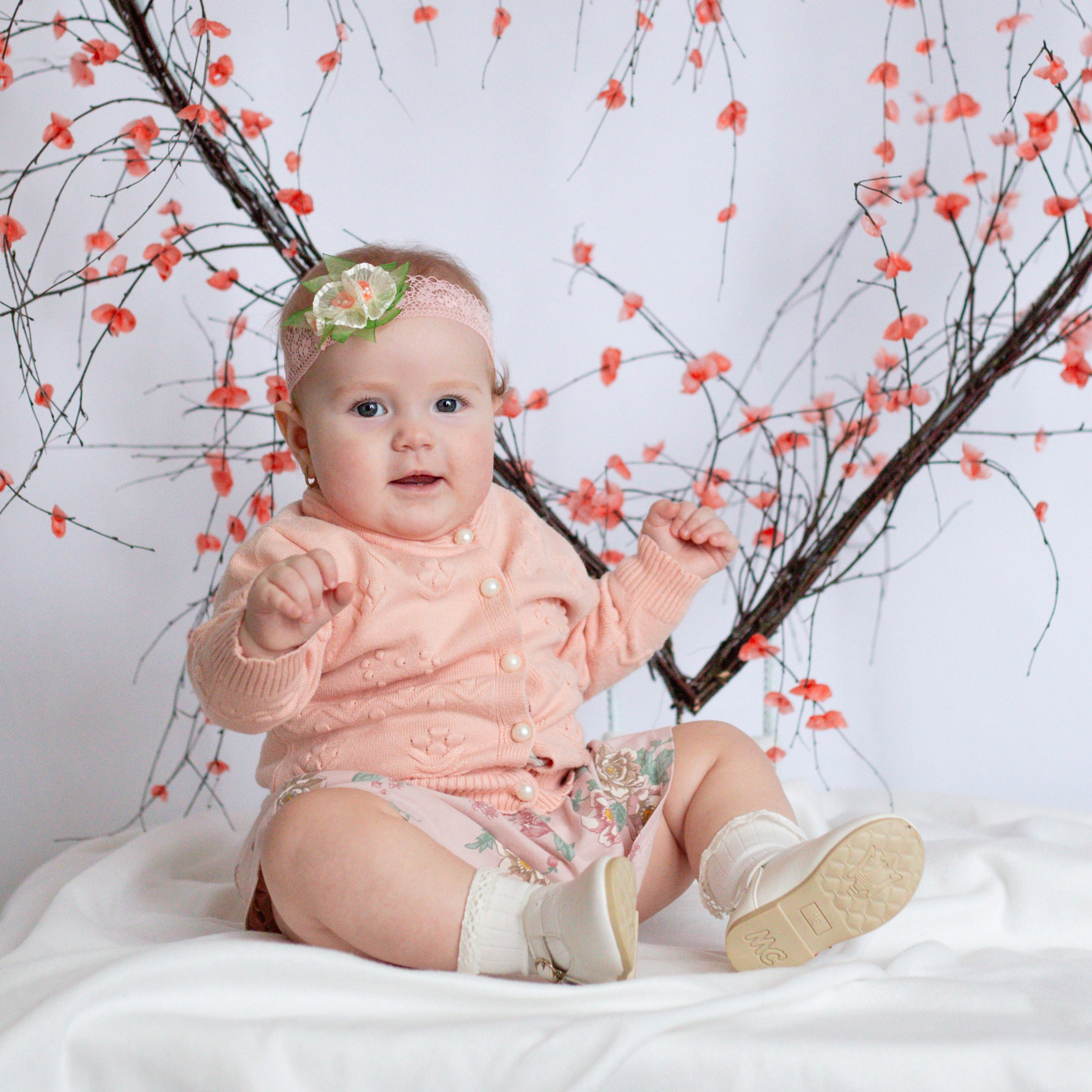 Сердце (14 февраля)