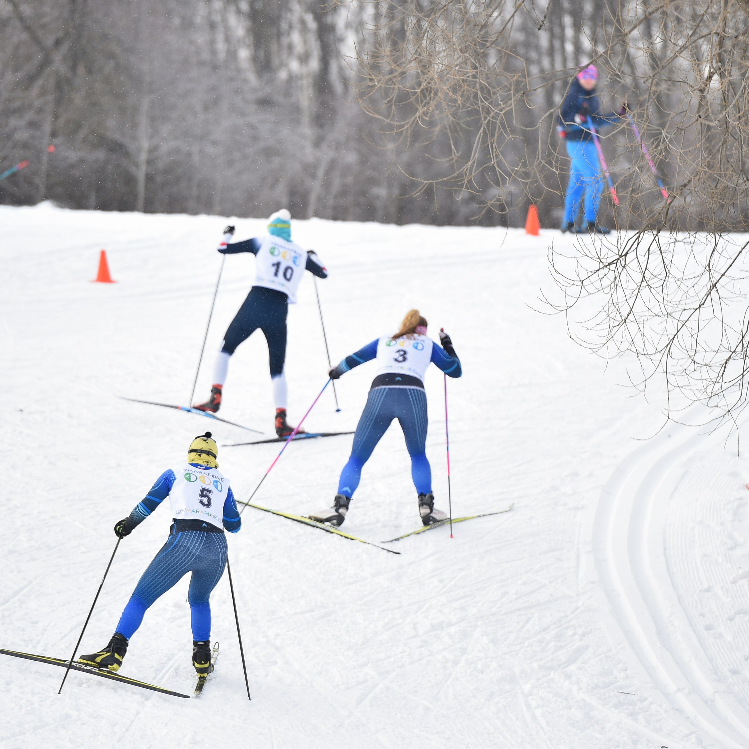 Лыжные гонки. Альфа-Битца