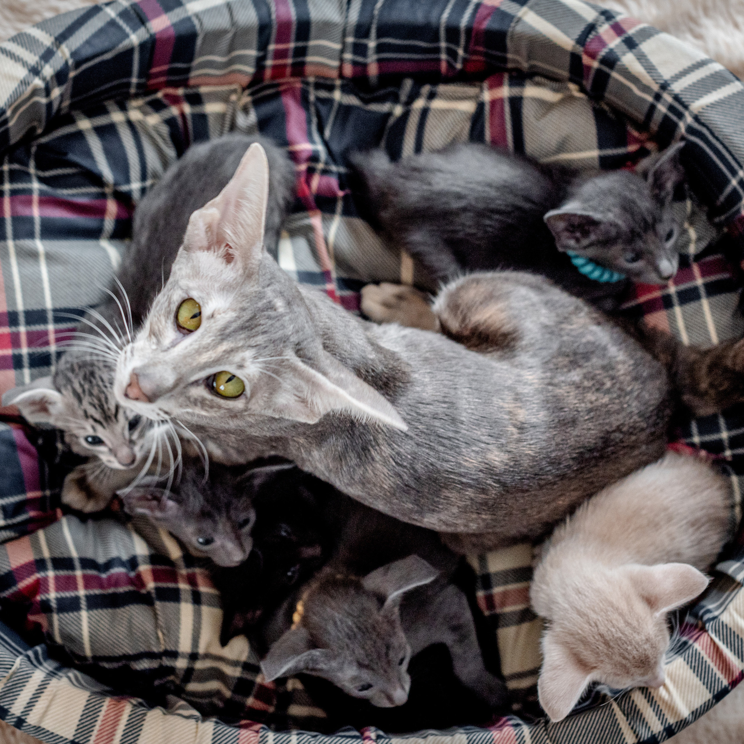 Отзывы о фотографе. Станислав Тюрин Фотограф Москва. Индивидуальные и семейные фотосессии;