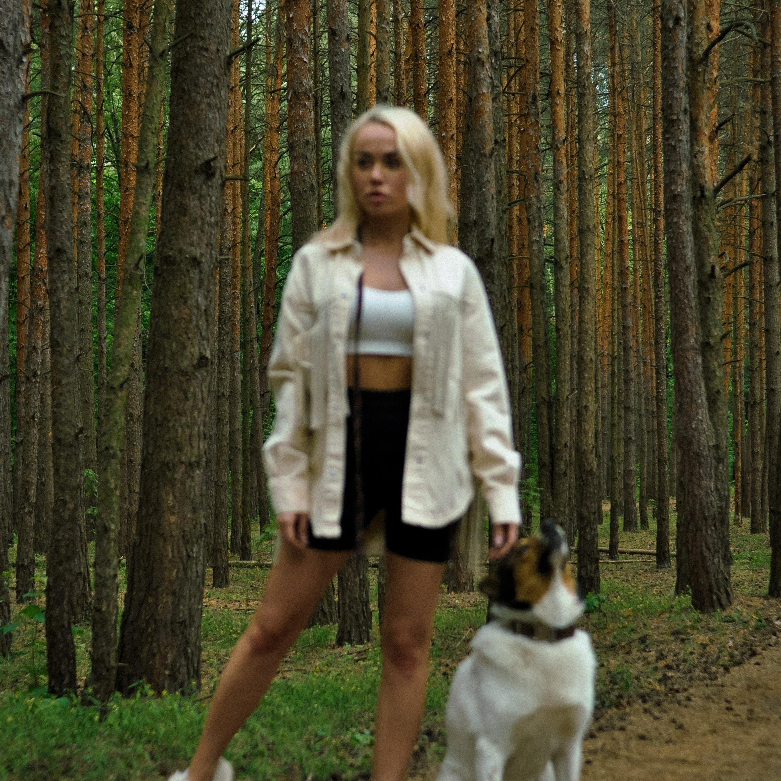 Серебряный бор