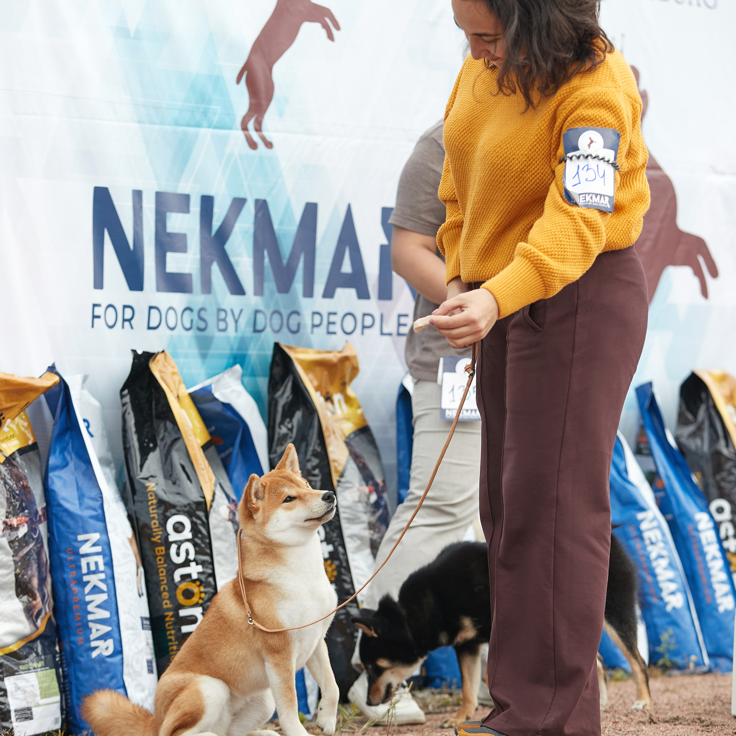 18.09.22 ВЫСТАВКА СОБАК ВСЕХ ПОРОД (CAC, ЧФ) «СЕНСАЦИЯ-2022». Кинологический клуб РКФ РФСС СЕНСАЦИЯ