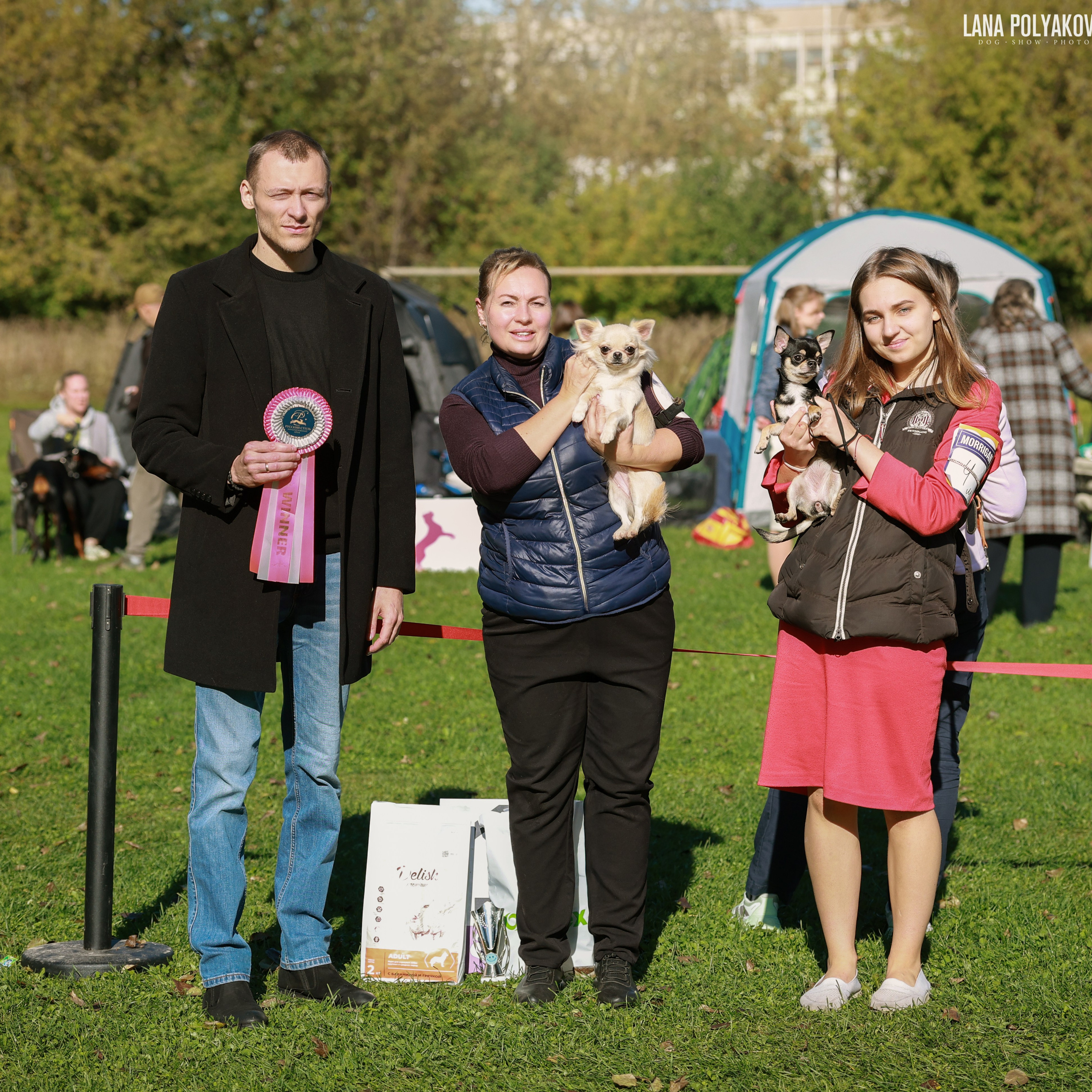 27-28.09.2025 ВЫСТАВКИ СОБАК ВСЕХ ПОРОД (САС, ЧРКФ, ЧФ). Кинологический клуб РКФ РФСС СЕНСАЦИЯ