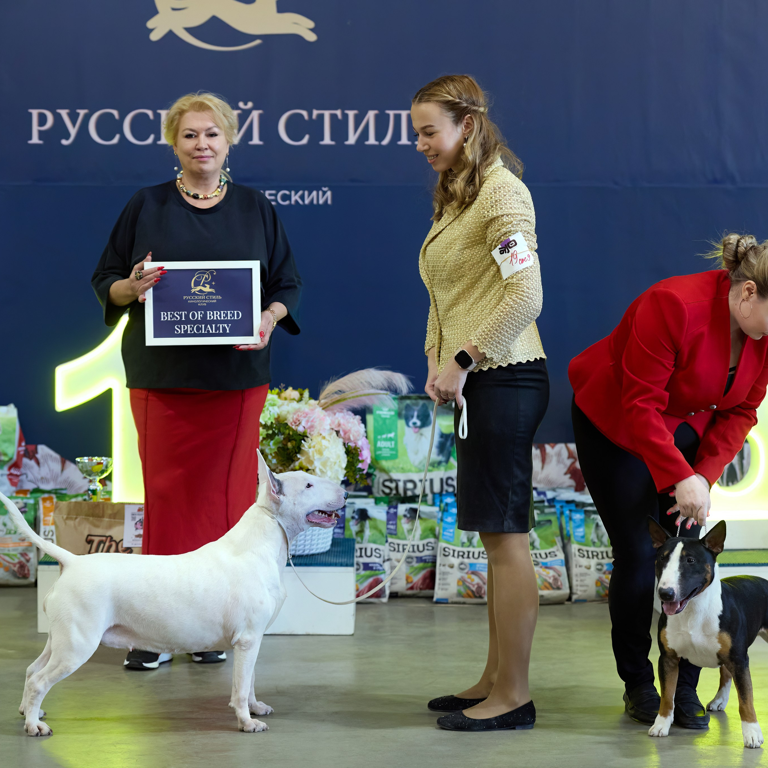 21.03.2026 СПб РОО РУССКИЙ СТИЛЬ. ВЫСТАВКА СОБАК ВСЕХ ПОРОД (САС, ЧФ). Кинологический клуб РКФ РФСС СЕНСАЦИЯ