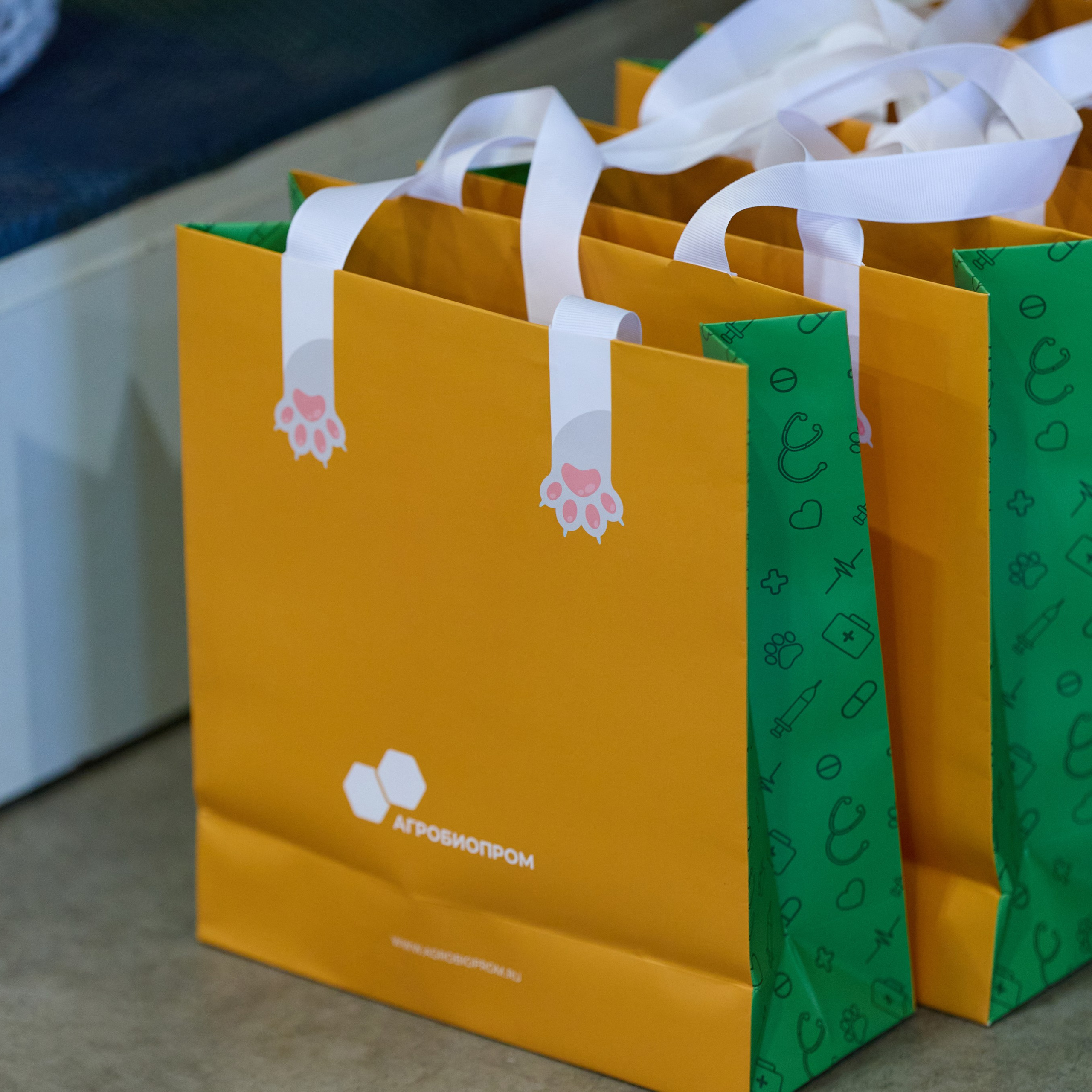 21.03.2026 СПб РОО РУССКИЙ СТИЛЬ. ВЫСТАВКА СОБАК ВСЕХ ПОРОД (САС, ЧФ). Кинологический клуб РКФ РФСС СЕНСАЦИЯ