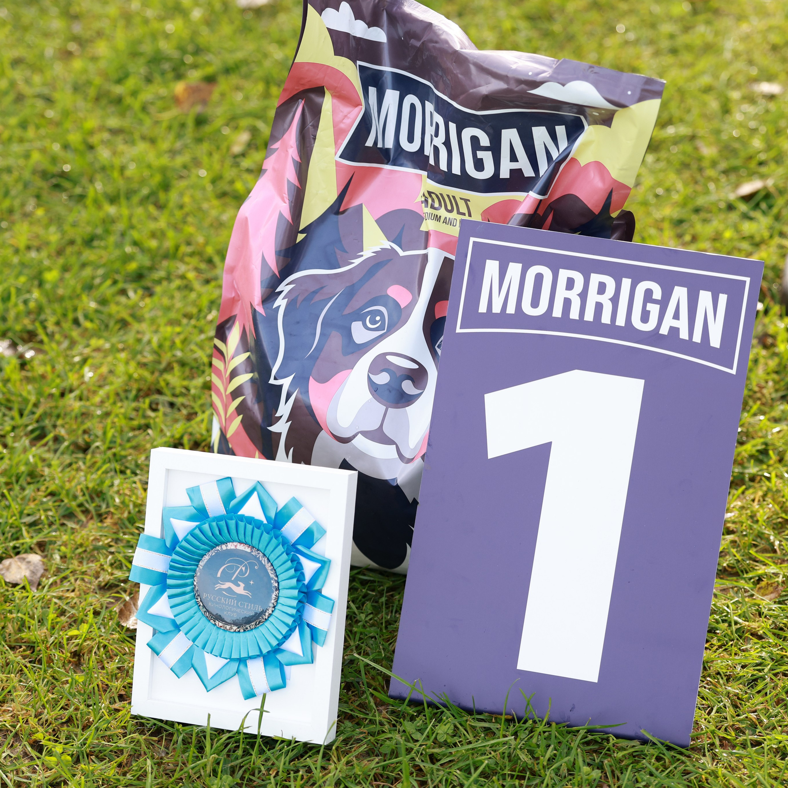 27-28.09.2025 ВЫСТАВКИ СОБАК ВСЕХ ПОРОД (САС, ЧРКФ, ЧФ). Кинологический клуб РКФ РФСС СЕНСАЦИЯ