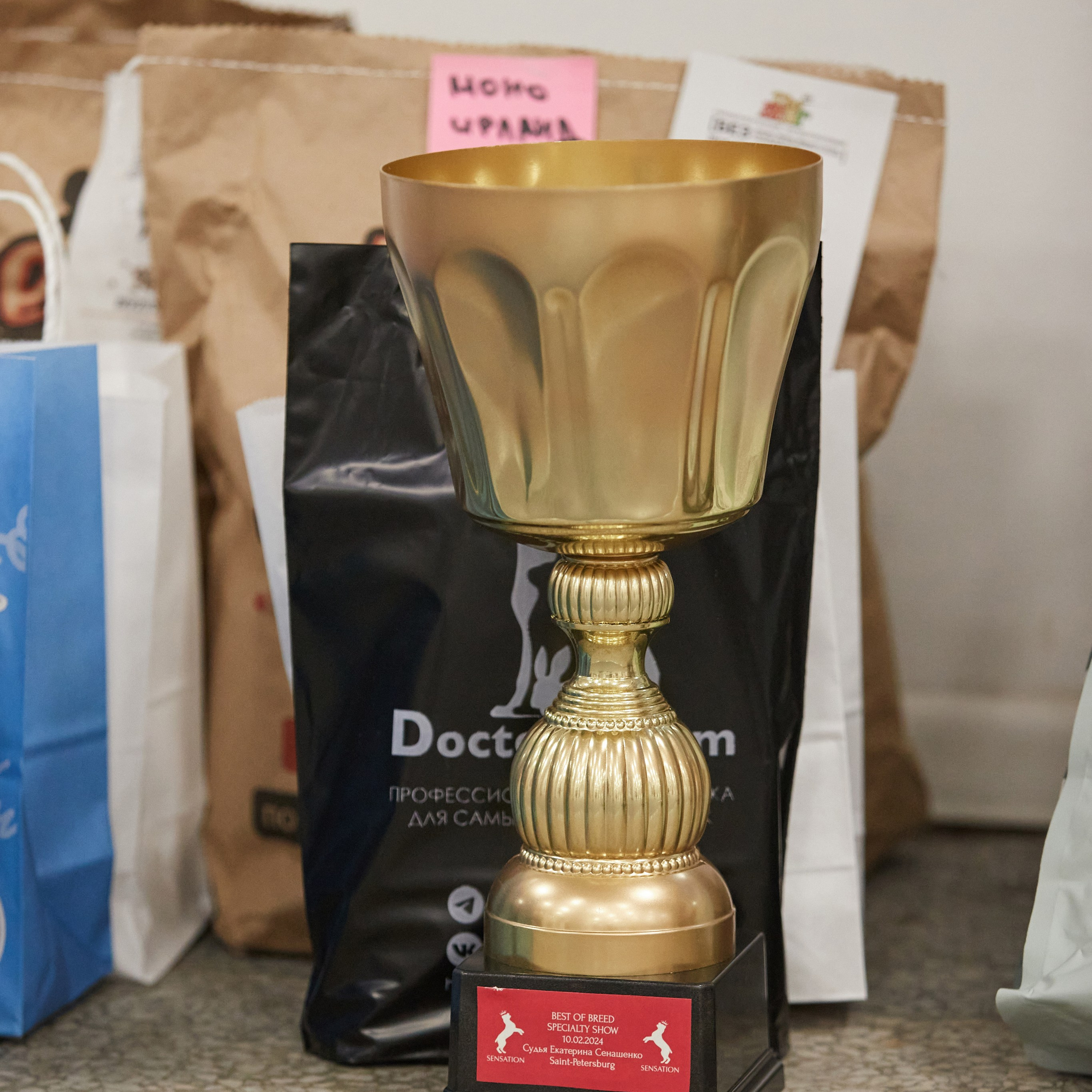 10-11.02.2024 ВЫСТАВКА СОБАК ВСЕХ ПОРОД (САС, ЧФ). Кинологический клуб РКФ РФСС СЕНСАЦИЯ