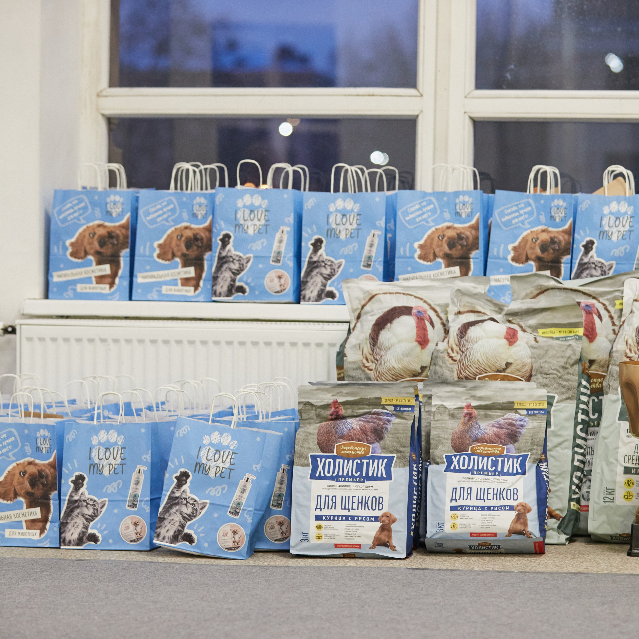 10-11.02.2024 ВЫСТАВКА СОБАК ВСЕХ ПОРОД (САС, ЧФ). Кинологический клуб РКФ РФСС СЕНСАЦИЯ