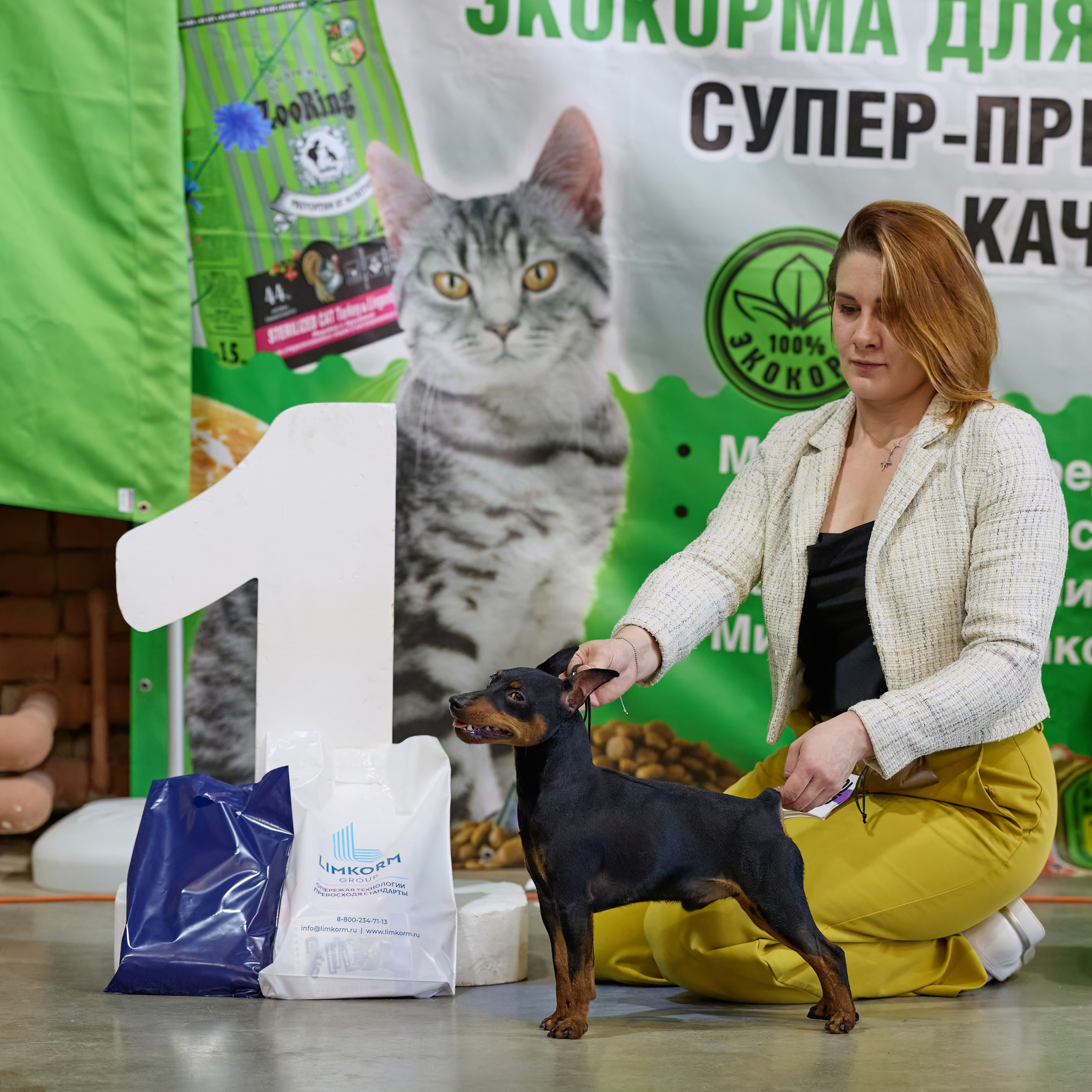 21.03.2026 СПб РОО РУССКИЙ СТИЛЬ. ВЫСТАВКА СОБАК ВСЕХ ПОРОД (САС, ЧФ). Кинологический клуб РКФ РФСС СЕНСАЦИЯ