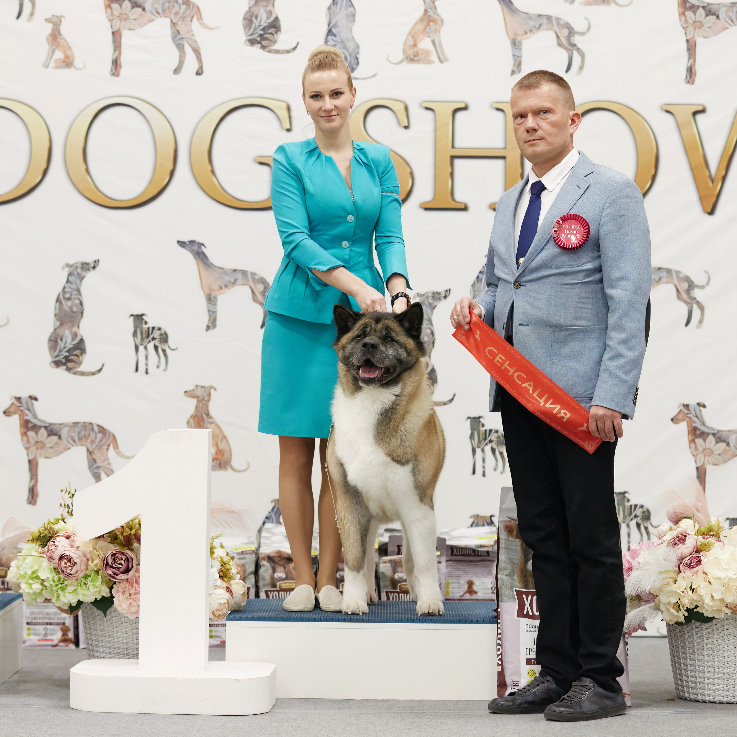 10-11.02.2024 ВЫСТАВКА СОБАК ВСЕХ ПОРОД (САС, ЧФ). Кинологический клуб РКФ РФСС СЕНСАЦИЯ