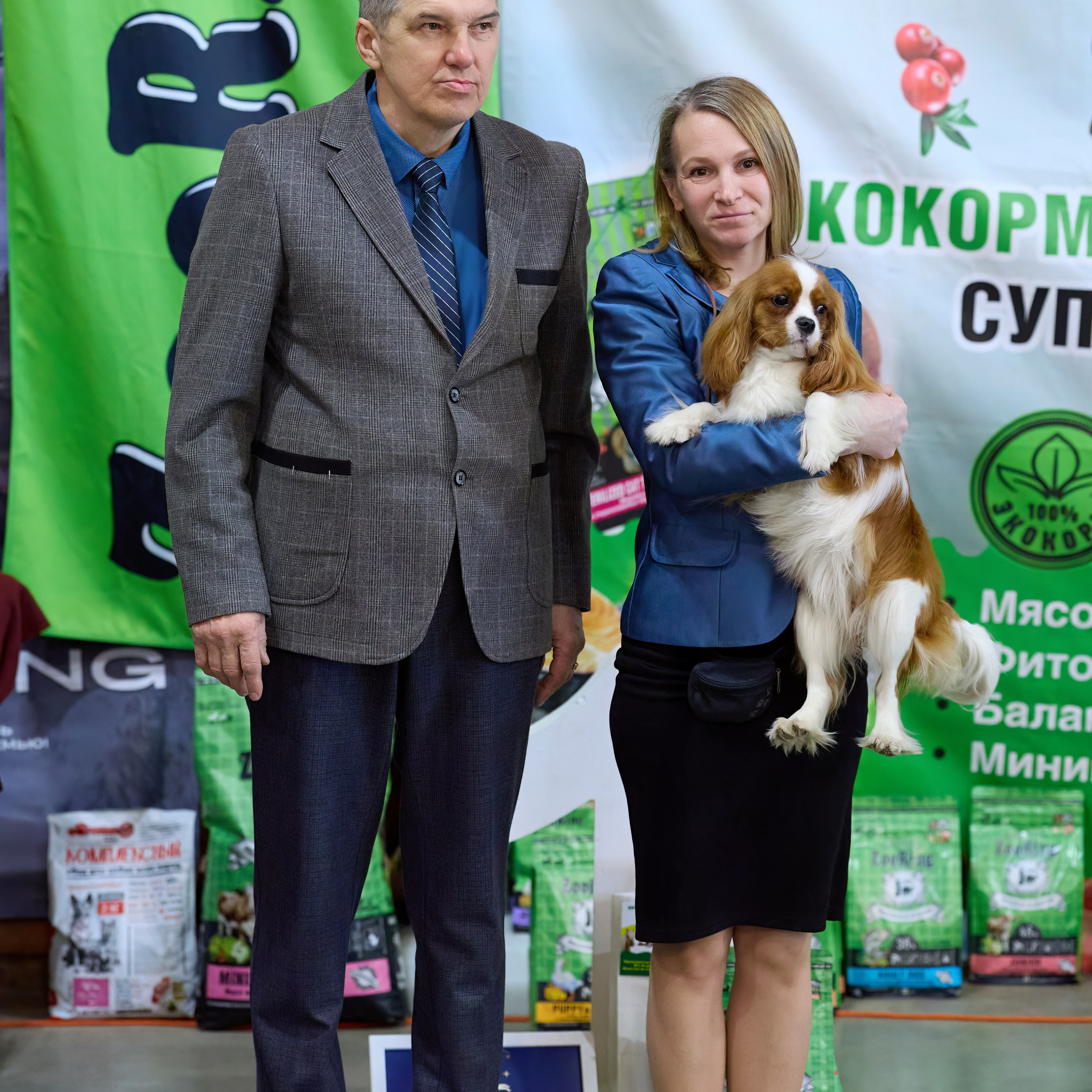 21.03.2026 СПб РОО РУССКИЙ СТИЛЬ. ВЫСТАВКА СОБАК ВСЕХ ПОРОД (САС, ЧФ). Кинологический клуб РКФ РФСС СЕНСАЦИЯ