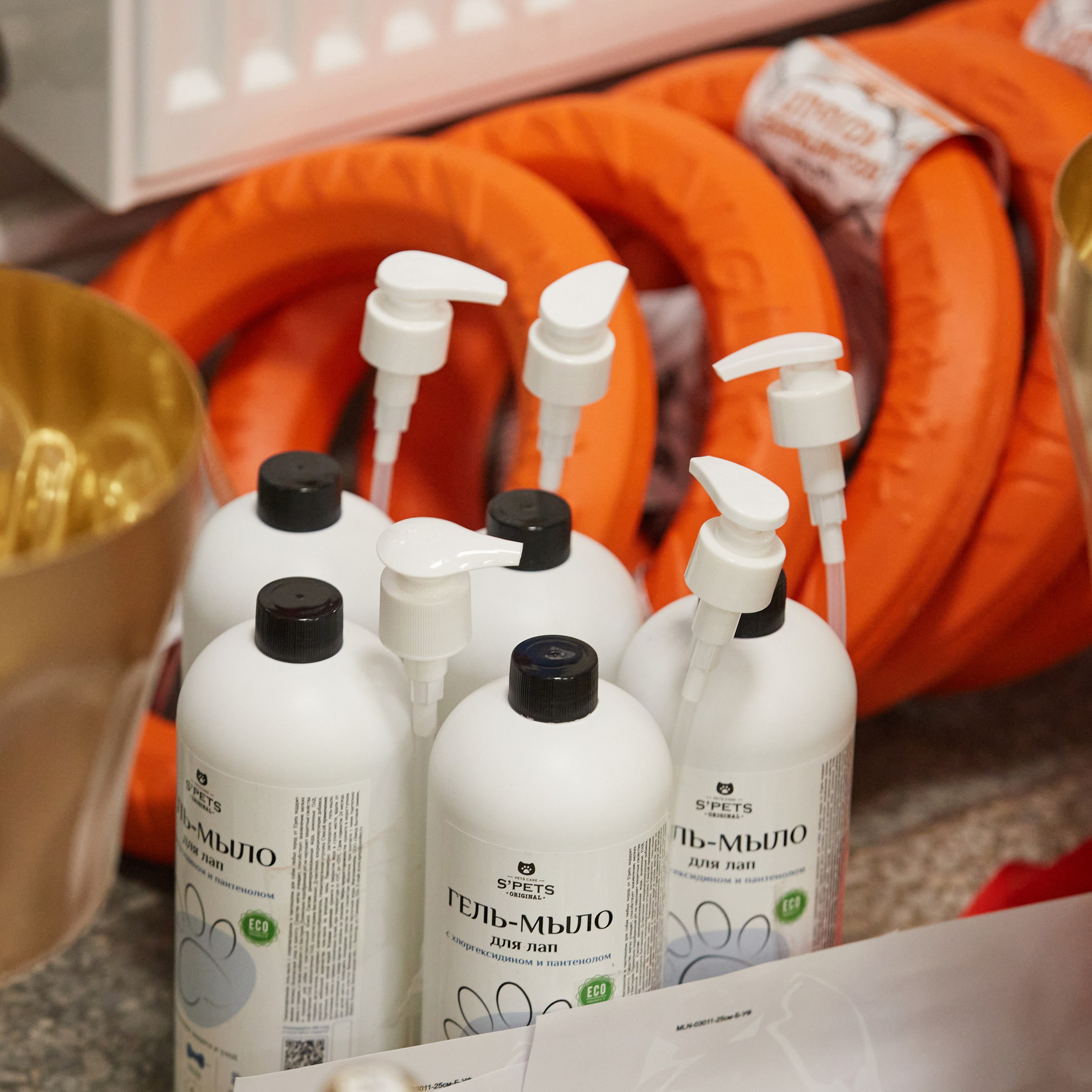 10-11.02.2024 ВЫСТАВКА СОБАК ВСЕХ ПОРОД (САС, ЧФ). Кинологический клуб РКФ РФСС СЕНСАЦИЯ