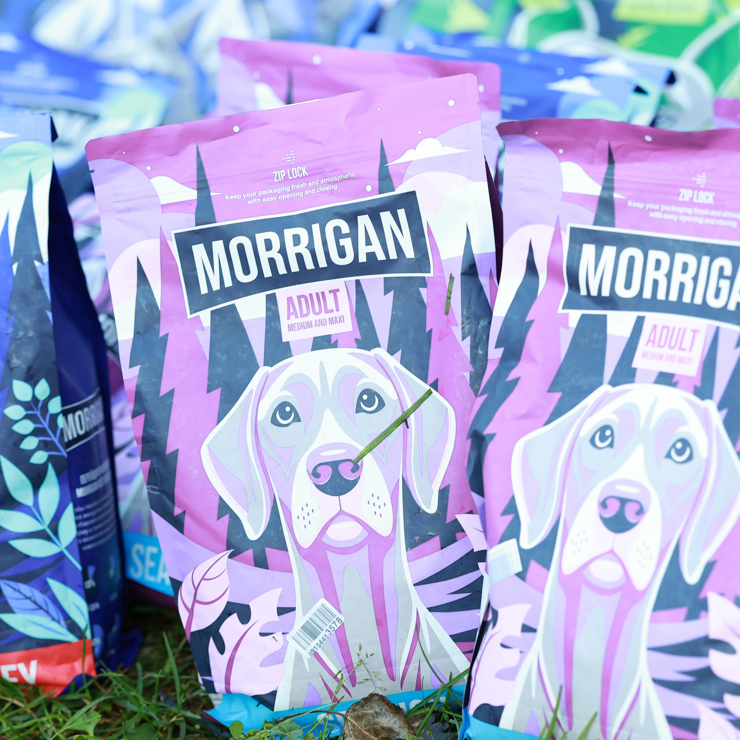 27-28.09.2025 ВЫСТАВКИ СОБАК ВСЕХ ПОРОД (САС, ЧРКФ, ЧФ). Кинологический клуб РКФ РФСС СЕНСАЦИЯ