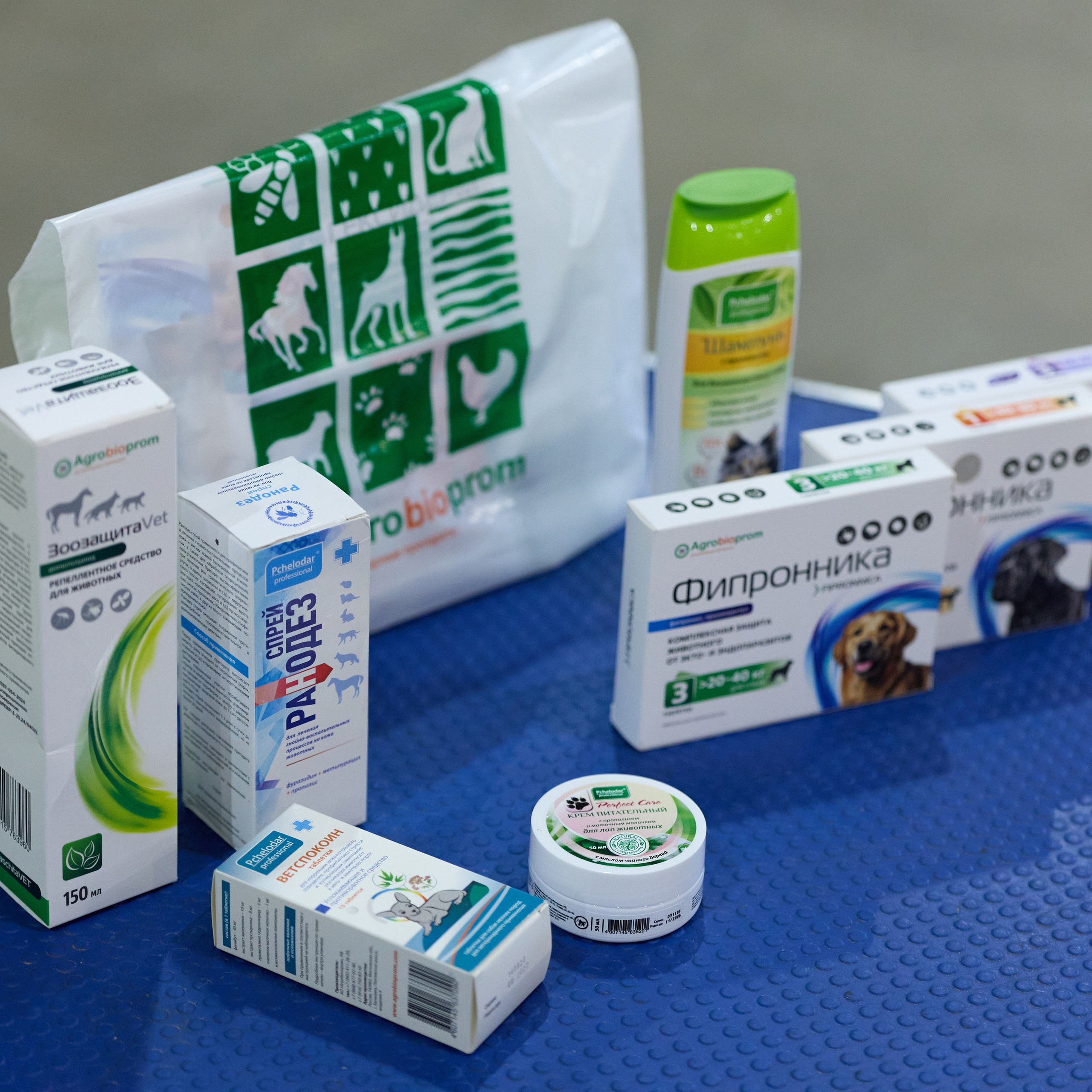 21.03.2026 СПб РОО РУССКИЙ СТИЛЬ. ВЫСТАВКА СОБАК ВСЕХ ПОРОД (САС, ЧФ). Кинологический клуб РКФ РФСС СЕНСАЦИЯ