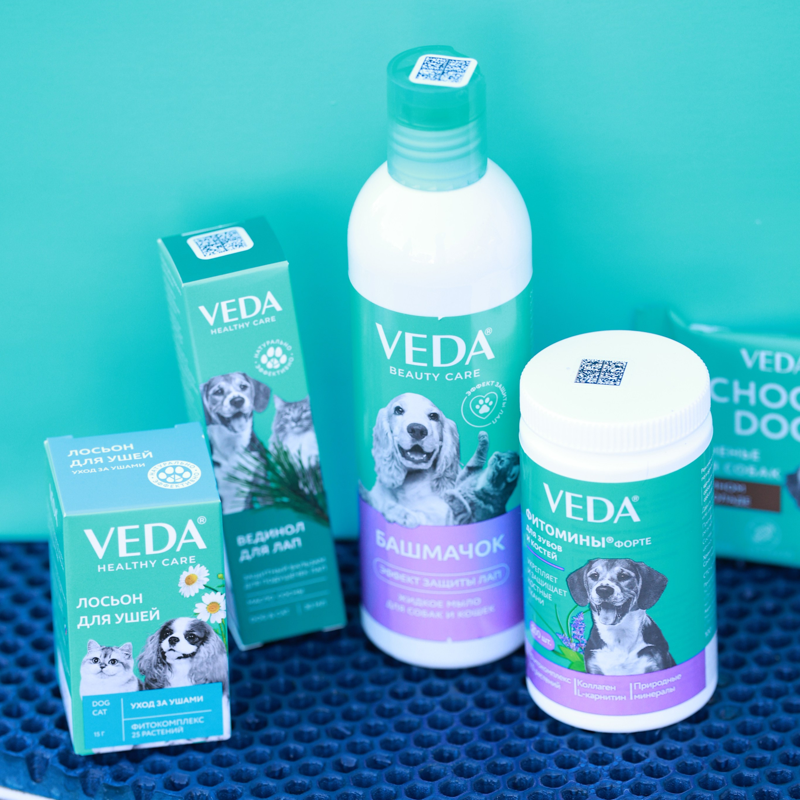 27-28.09.2025 ВЫСТАВКИ СОБАК ВСЕХ ПОРОД (САС, ЧРКФ, ЧФ). Кинологический клуб РКФ РФСС СЕНСАЦИЯ