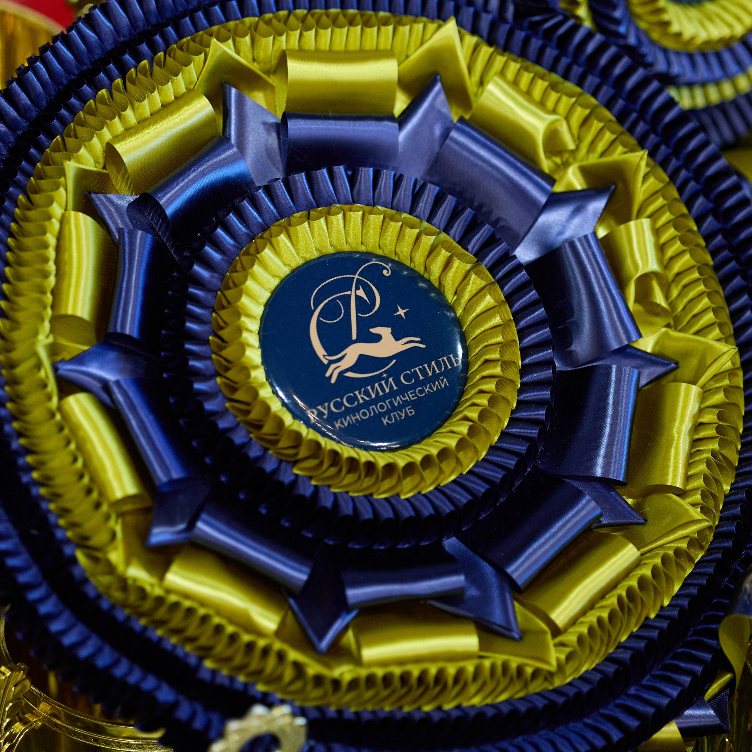 21.03.2026 СПб РОО РУССКИЙ СТИЛЬ. ВЫСТАВКА СОБАК ВСЕХ ПОРОД (САС, ЧФ). Кинологический клуб РКФ РФСС СЕНСАЦИЯ