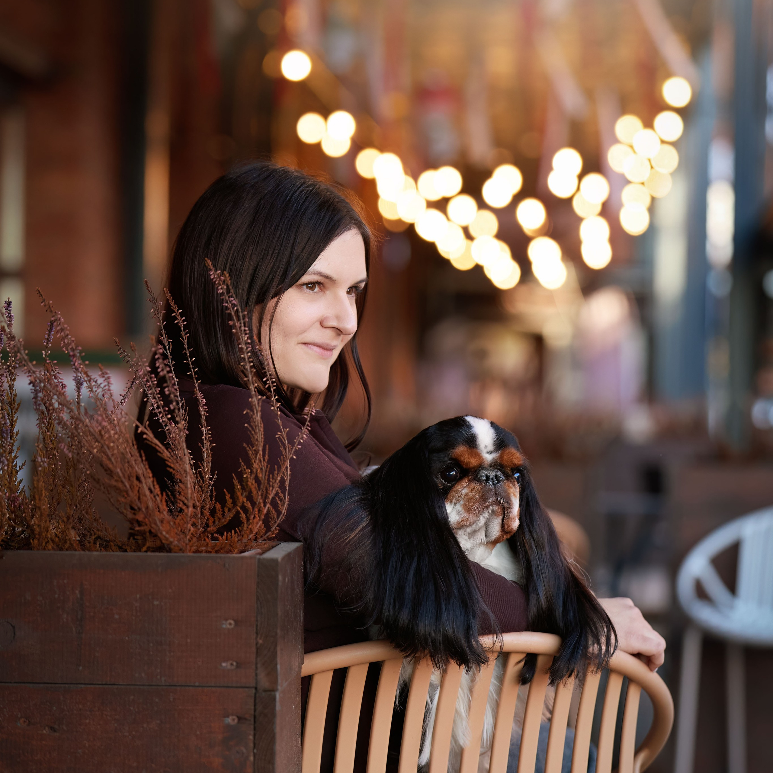 21.03.2026 СПб РОО РУССКИЙ СТИЛЬ. ВЫСТАВКА СОБАК ВСЕХ ПОРОД (САС, ЧФ). Кинологический клуб РКФ РФСС СЕНСАЦИЯ