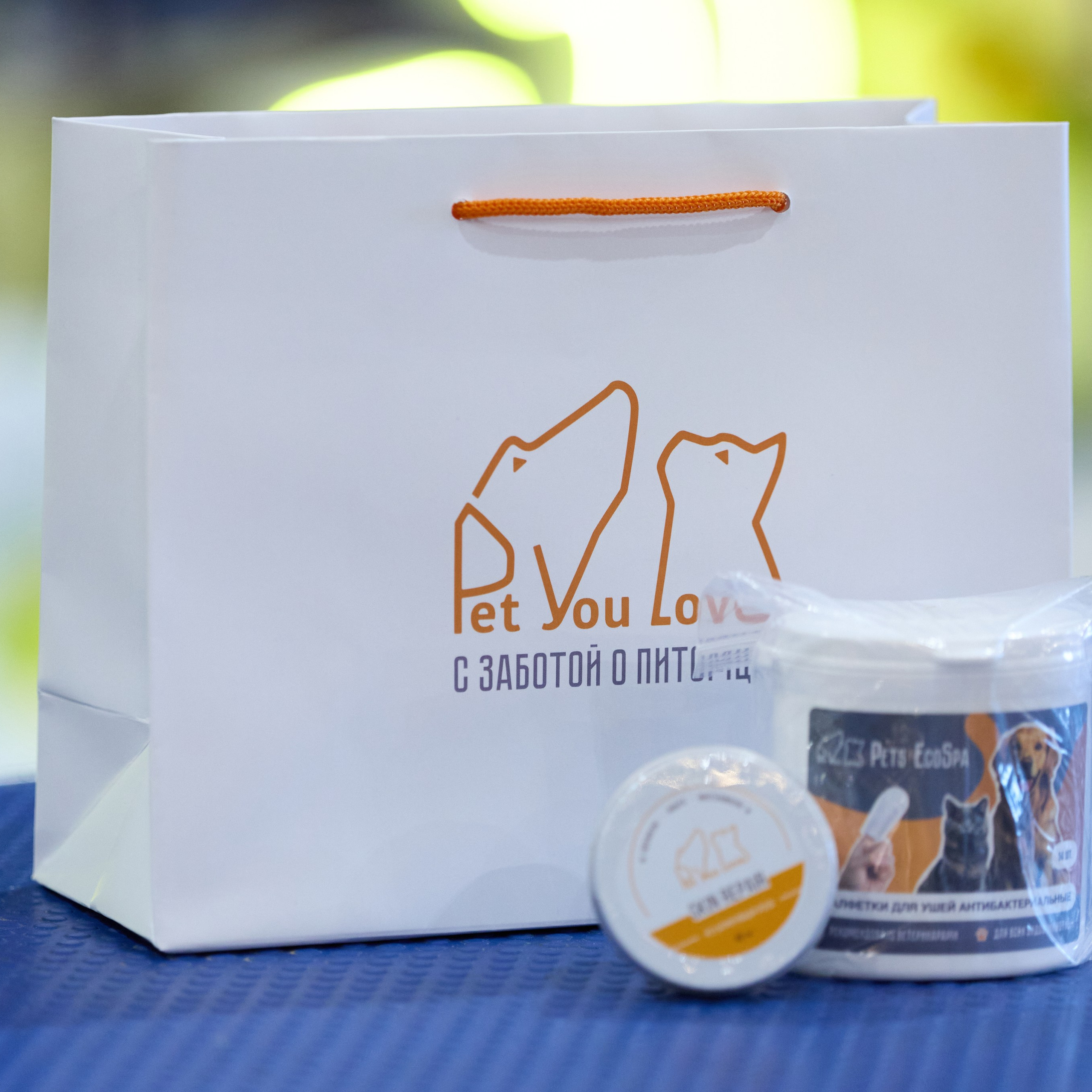 21.03.2026 СПб РОО РУССКИЙ СТИЛЬ. ВЫСТАВКА СОБАК ВСЕХ ПОРОД (САС, ЧФ). Кинологический клуб РКФ РФСС СЕНСАЦИЯ