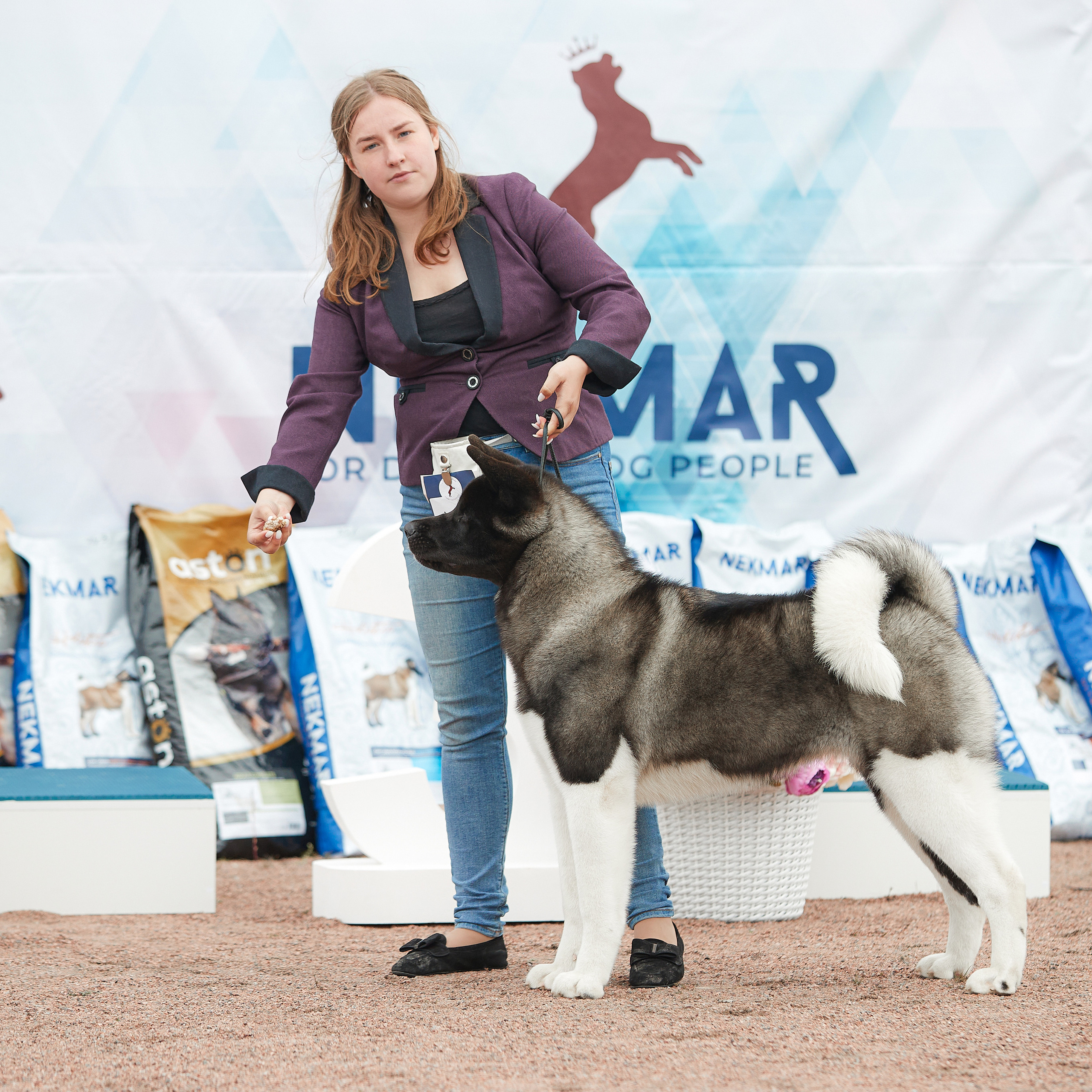 18.09.22 ВЫСТАВКА СОБАК ВСЕХ ПОРОД (CAC, ЧФ) «СЕНСАЦИЯ-2022». Кинологический клуб РКФ РФСС СЕНСАЦИЯ