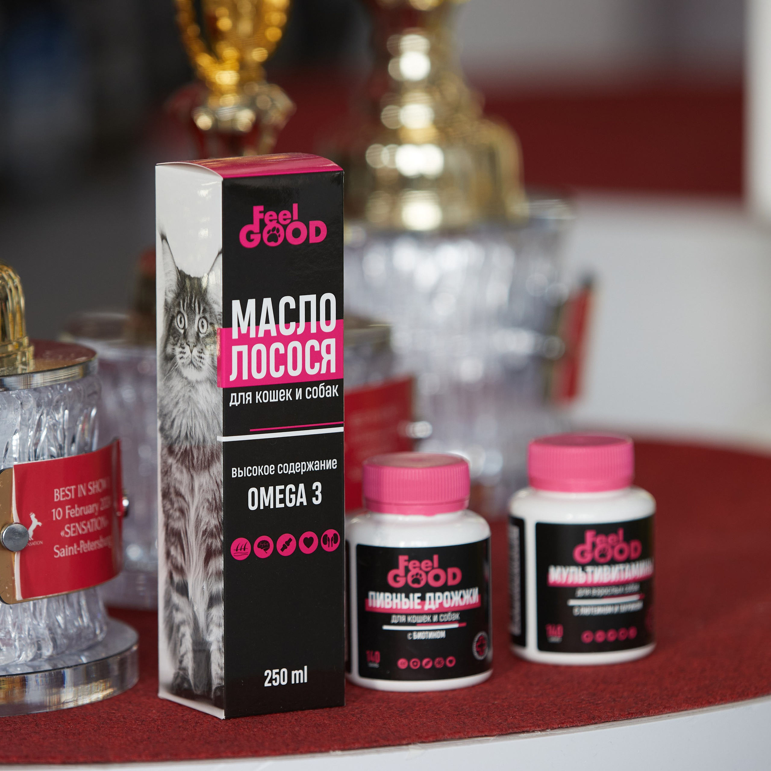 10-11.02.2024 ВЫСТАВКА СОБАК ВСЕХ ПОРОД (САС, ЧФ). Кинологический клуб РКФ РФСС СЕНСАЦИЯ