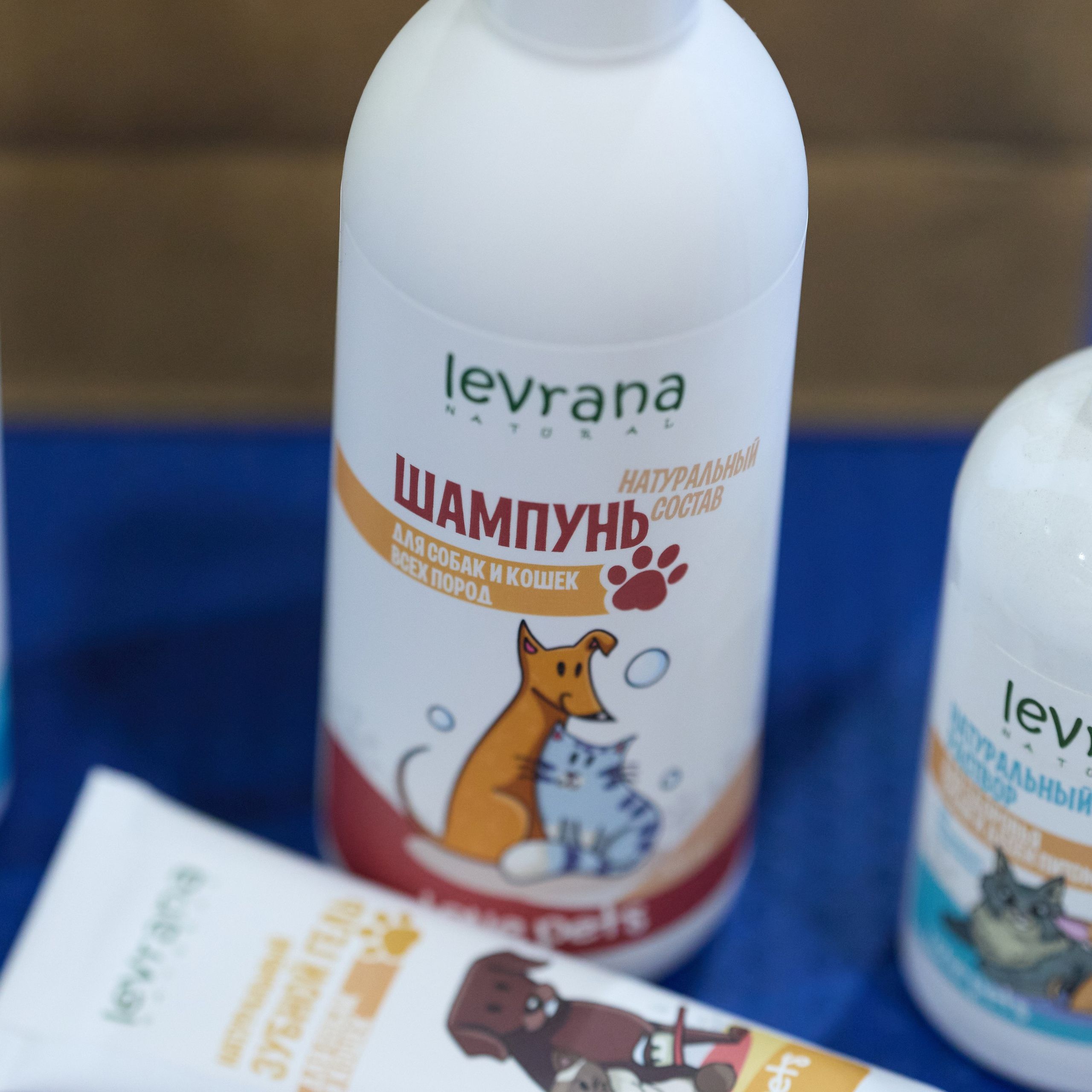 21.03.2026 СПб РОО РУССКИЙ СТИЛЬ. ВЫСТАВКА СОБАК ВСЕХ ПОРОД (САС, ЧФ). Кинологический клуб РКФ РФСС СЕНСАЦИЯ