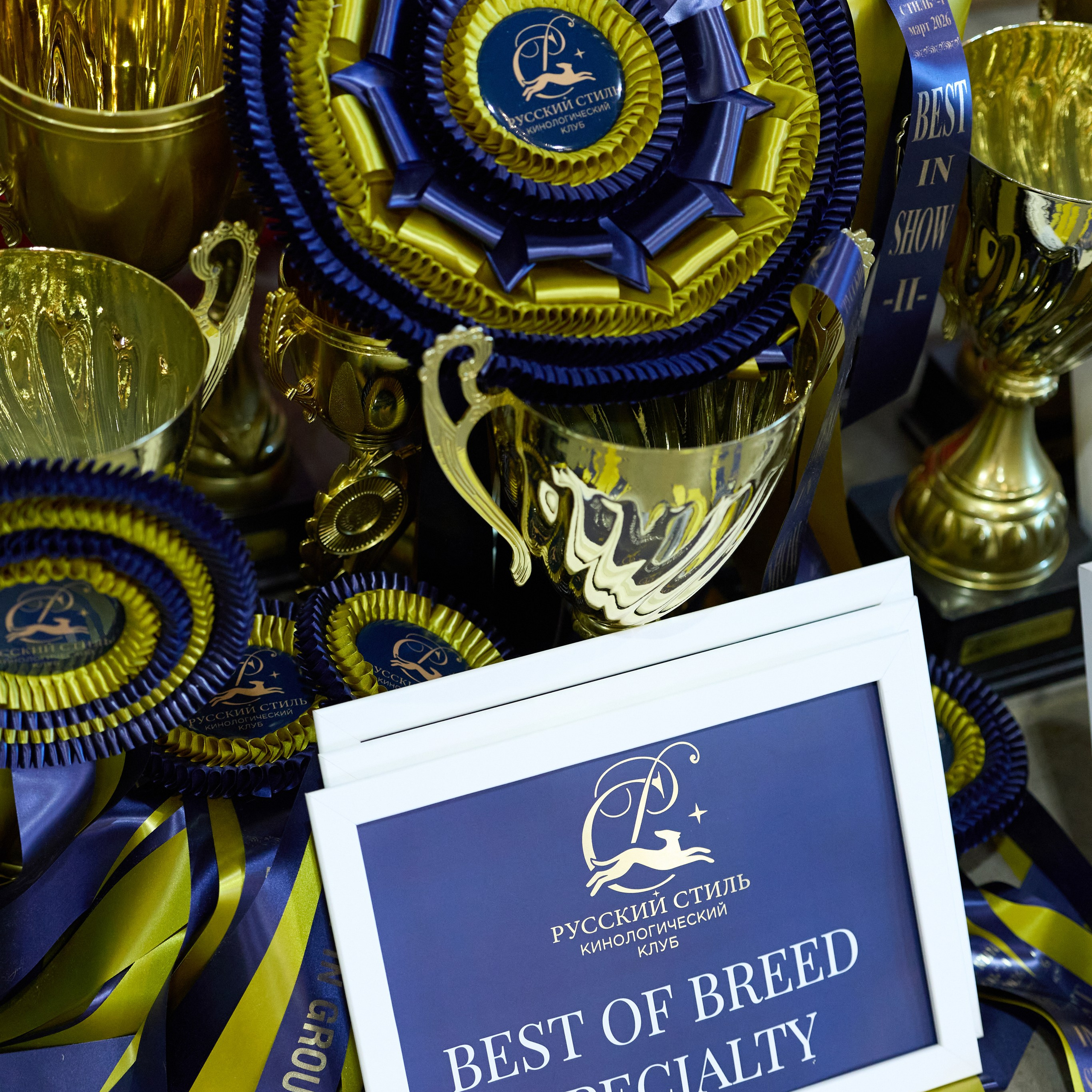 21.03.2026 СПб РОО РУССКИЙ СТИЛЬ. ВЫСТАВКА СОБАК ВСЕХ ПОРОД (САС, ЧФ). Кинологический клуб РКФ РФСС СЕНСАЦИЯ