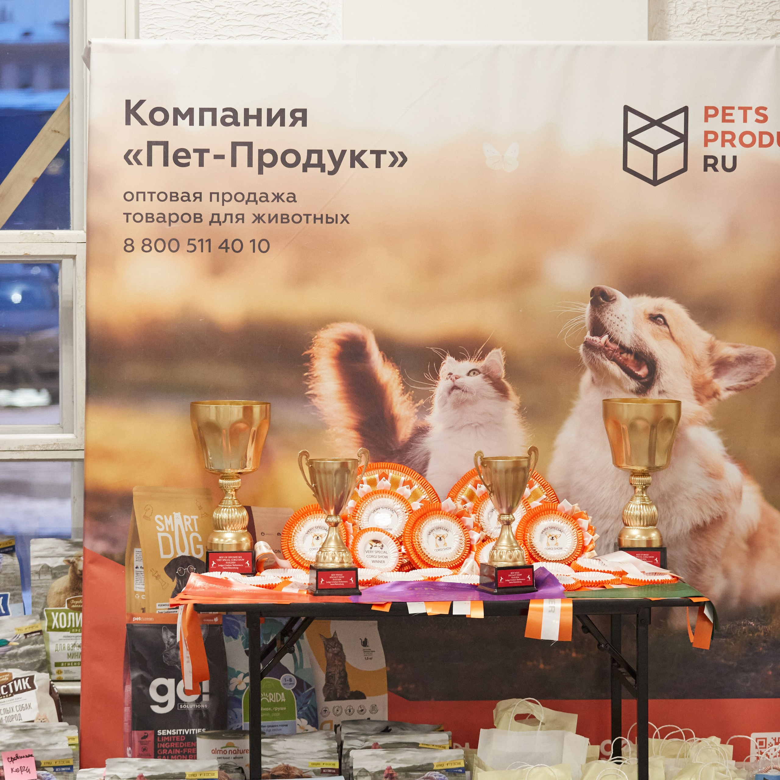 10-11.02.2024 ВЫСТАВКА СОБАК ВСЕХ ПОРОД (САС, ЧФ). Кинологический клуб РКФ РФСС СЕНСАЦИЯ