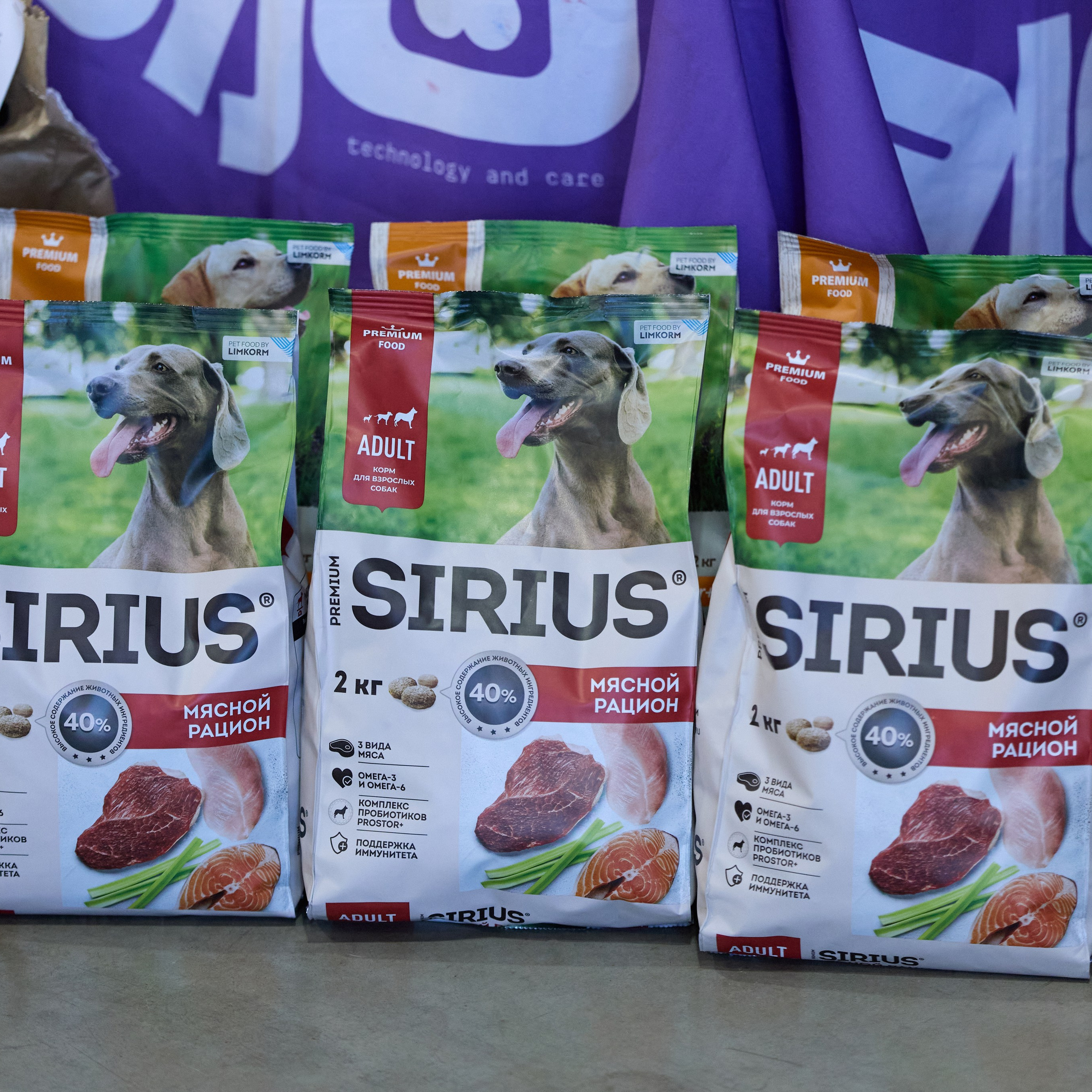 21.03.2026 СПб РОО РУССКИЙ СТИЛЬ. ВЫСТАВКА СОБАК ВСЕХ ПОРОД (САС, ЧФ). Кинологический клуб РКФ РФСС СЕНСАЦИЯ