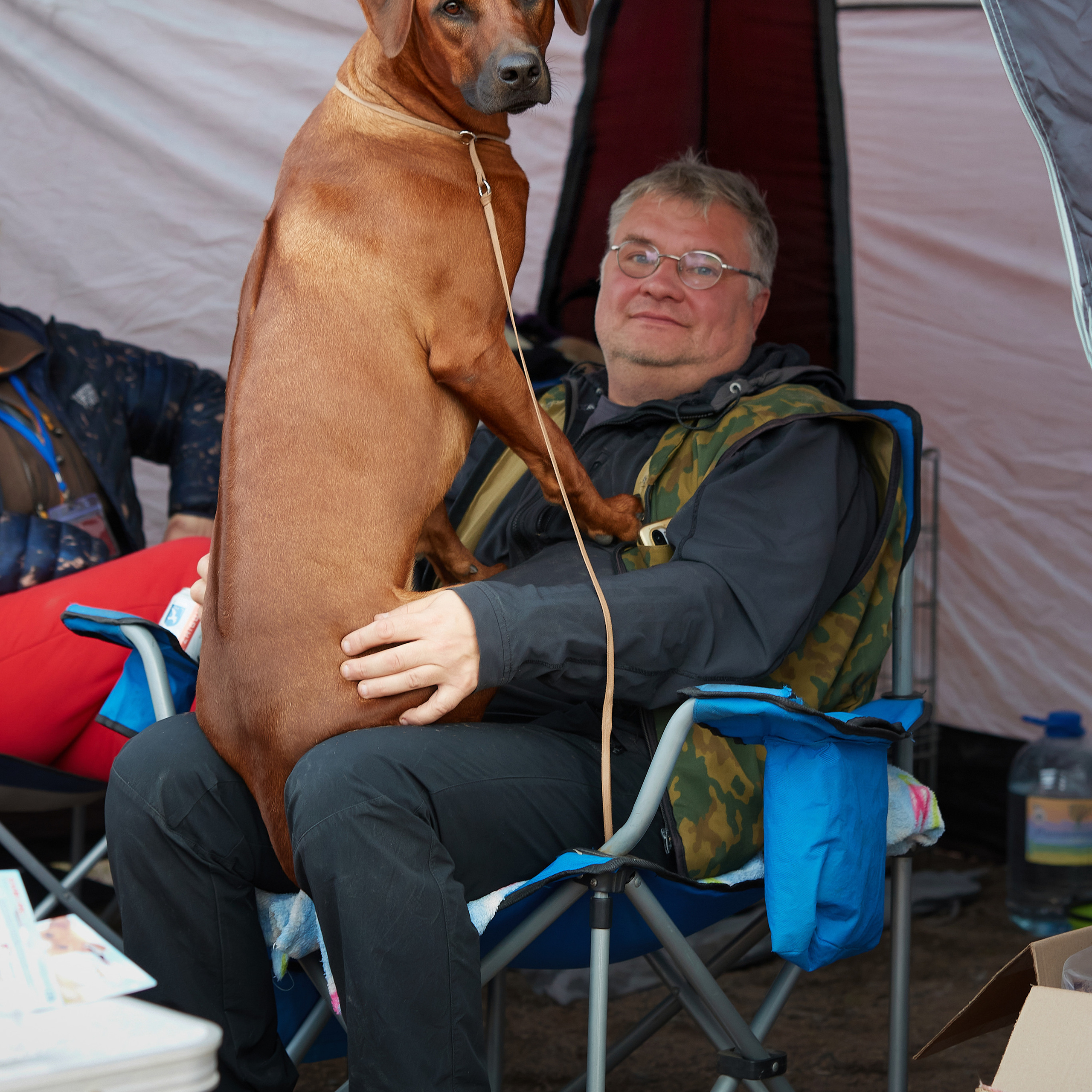 18.09.22 ВЫСТАВКА СОБАК ВСЕХ ПОРОД (CAC, ЧФ) «СЕНСАЦИЯ-2022». Кинологический клуб РКФ РФСС СЕНСАЦИЯ