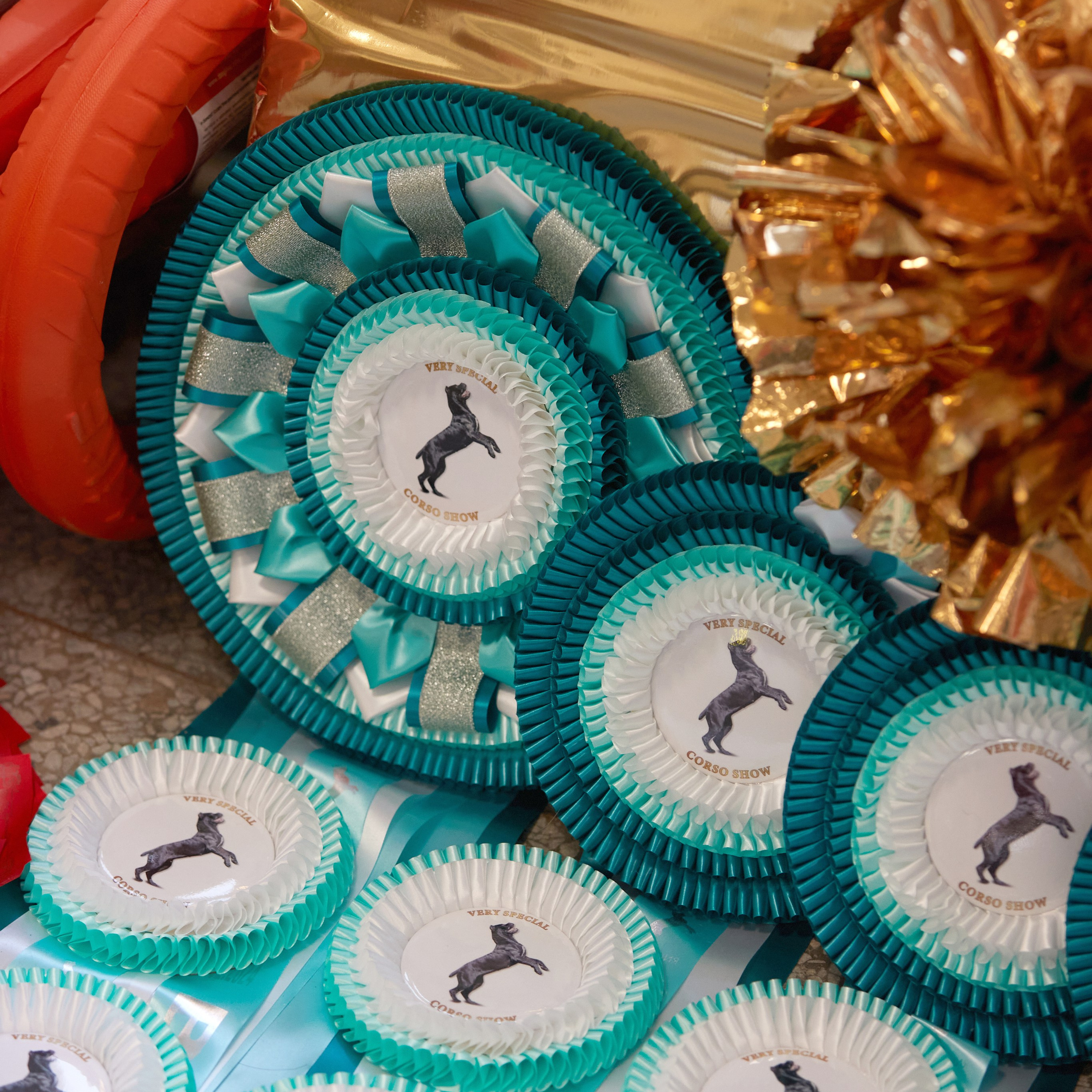 10-11.02.2024 ВЫСТАВКА СОБАК ВСЕХ ПОРОД (САС, ЧФ). Кинологический клуб РКФ РФСС СЕНСАЦИЯ