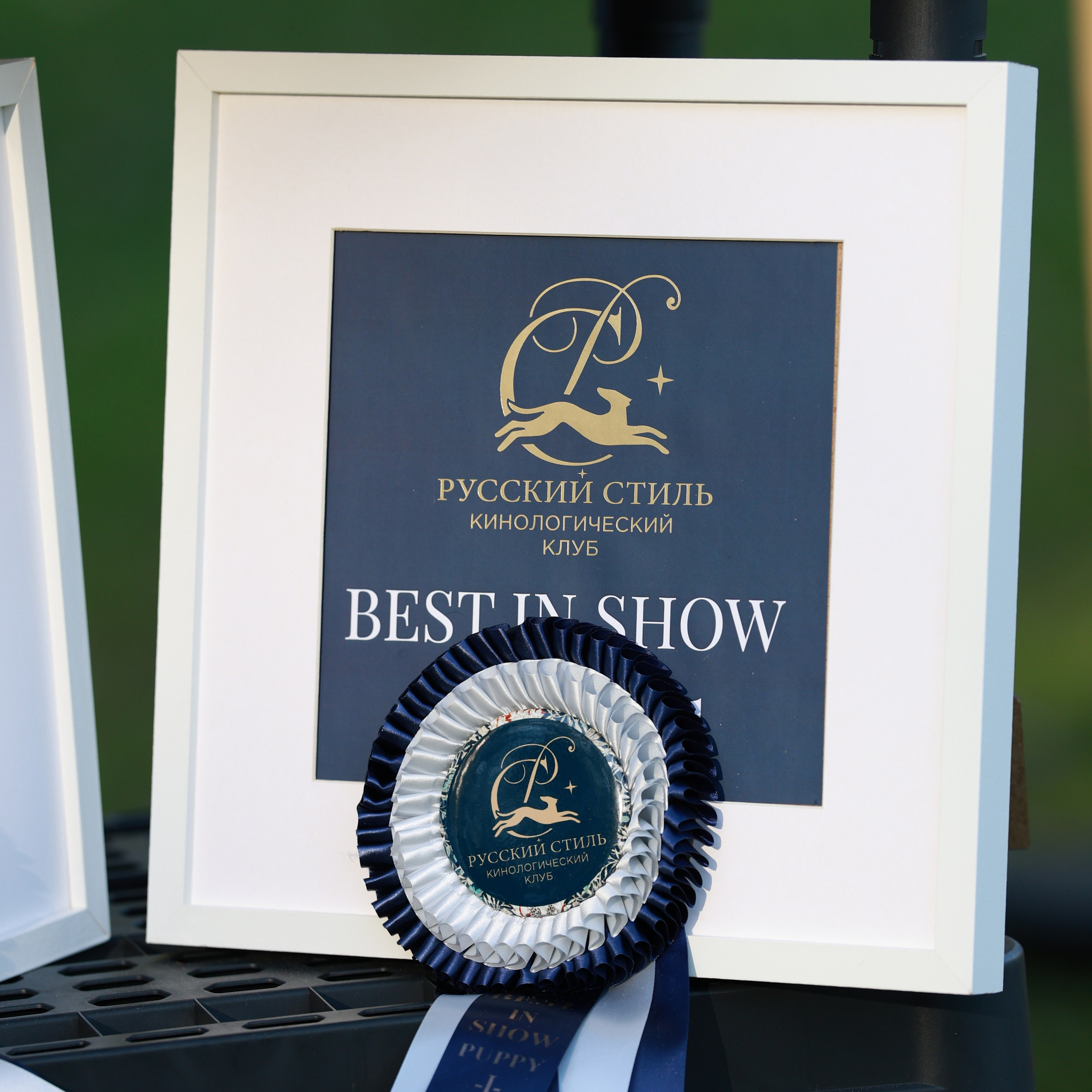 27-28.09.2025 ВЫСТАВКИ СОБАК ВСЕХ ПОРОД (САС, ЧРКФ, ЧФ). Кинологический клуб РКФ РФСС СЕНСАЦИЯ