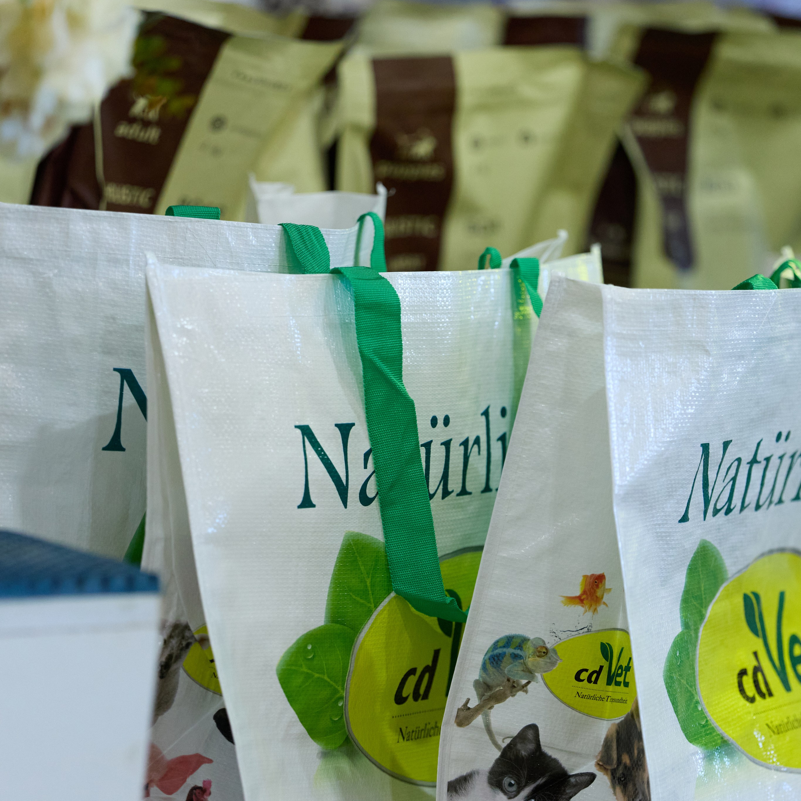 21.03.2026 СПб РОО РУССКИЙ СТИЛЬ. ВЫСТАВКА СОБАК ВСЕХ ПОРОД (САС, ЧФ). Кинологический клуб РКФ РФСС СЕНСАЦИЯ