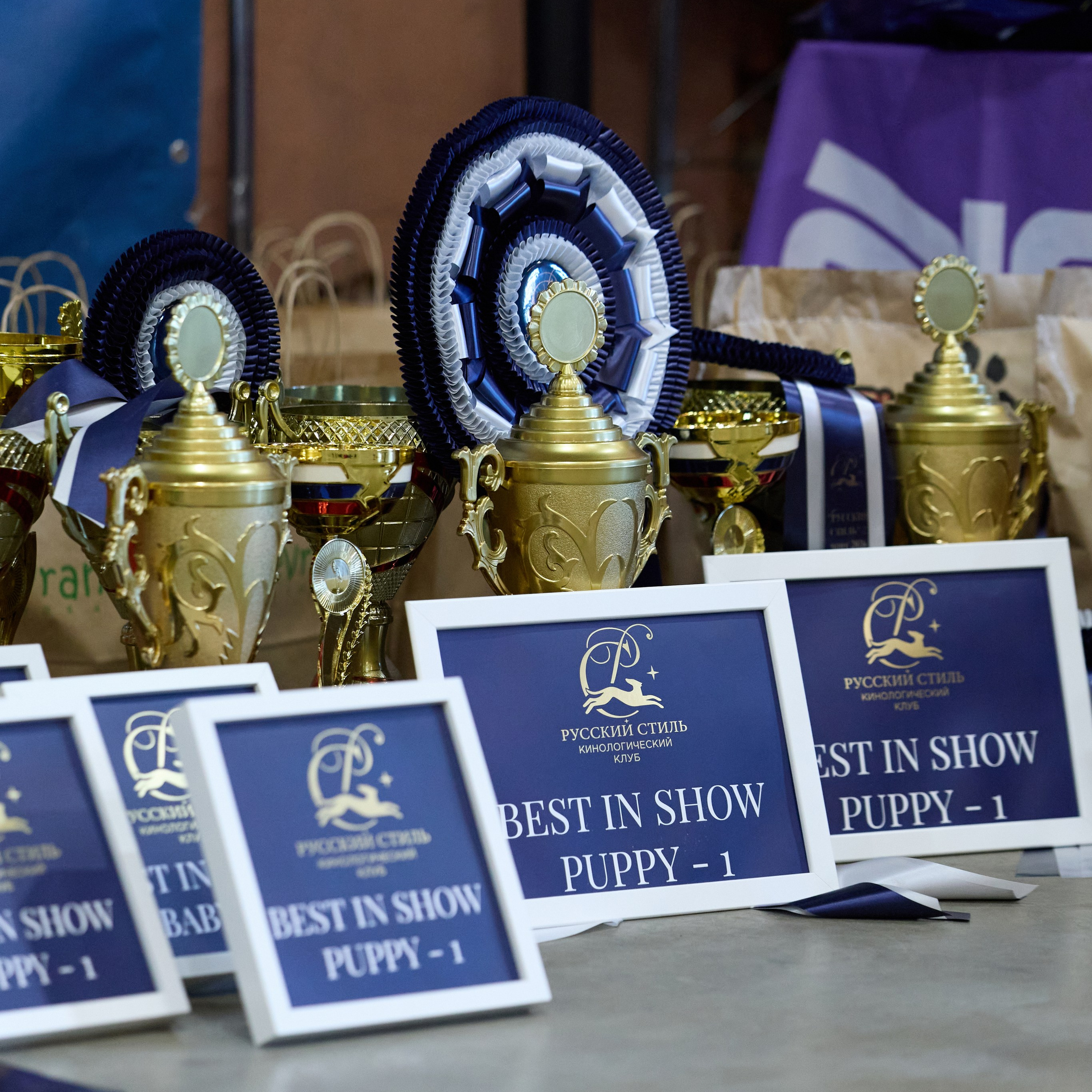 21.03.2026 СПб РОО РУССКИЙ СТИЛЬ. ВЫСТАВКА СОБАК ВСЕХ ПОРОД (САС, ЧФ). Кинологический клуб РКФ РФСС СЕНСАЦИЯ