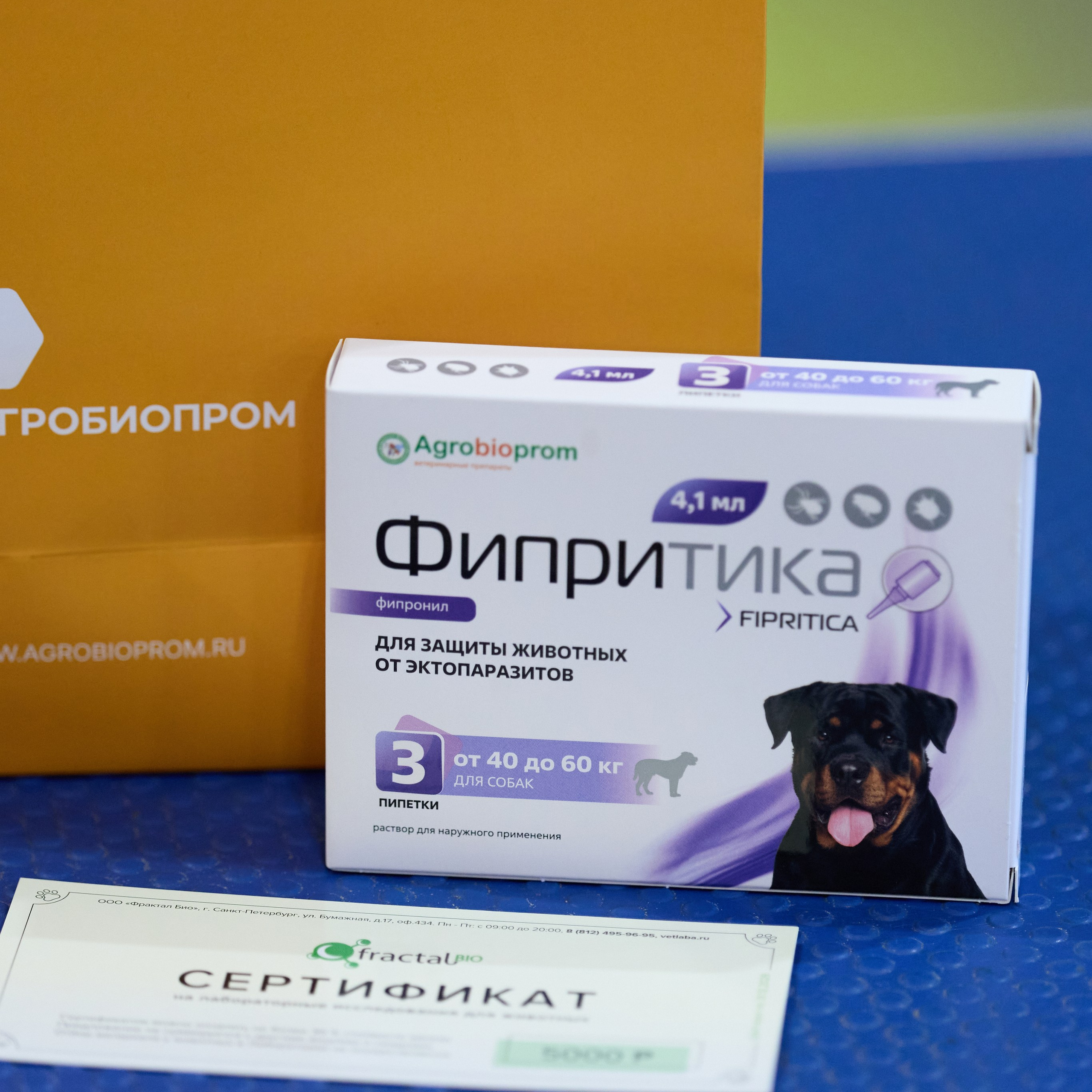 21.03.2026 СПб РОО РУССКИЙ СТИЛЬ. ВЫСТАВКА СОБАК ВСЕХ ПОРОД (САС, ЧФ). Кинологический клуб РКФ РФСС СЕНСАЦИЯ