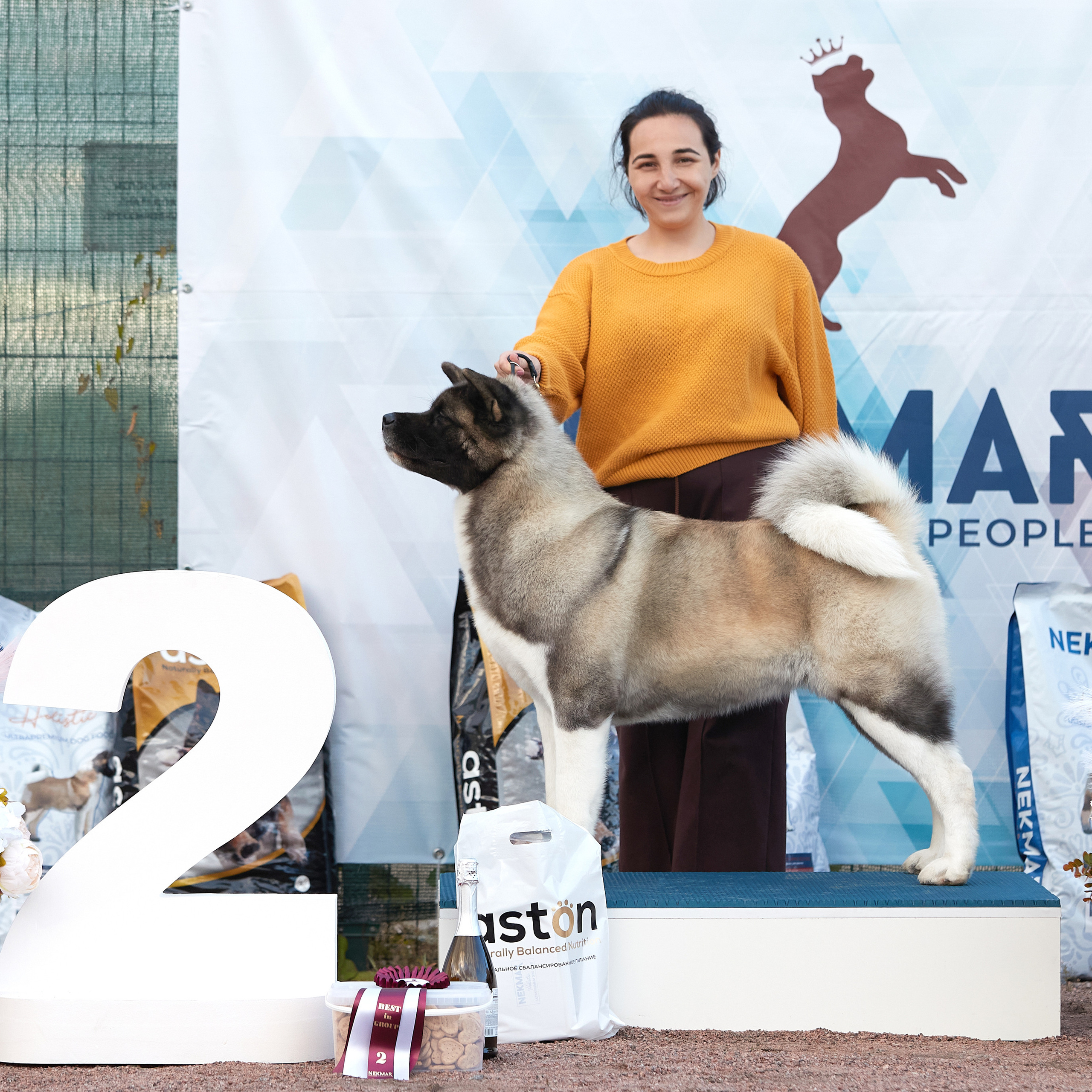 18.09.22 ВЫСТАВКА СОБАК ВСЕХ ПОРОД (CAC, ЧФ) «СЕНСАЦИЯ-2022». Кинологический клуб РКФ РФСС СЕНСАЦИЯ