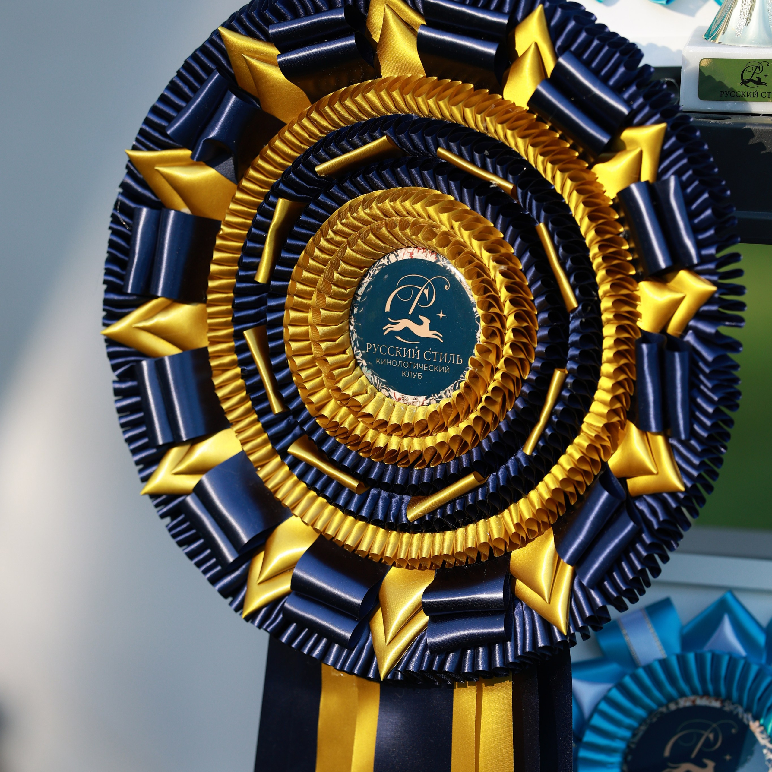 27-28.09.2025 ВЫСТАВКИ СОБАК ВСЕХ ПОРОД (САС, ЧРКФ, ЧФ). Кинологический клуб РКФ РФСС СЕНСАЦИЯ