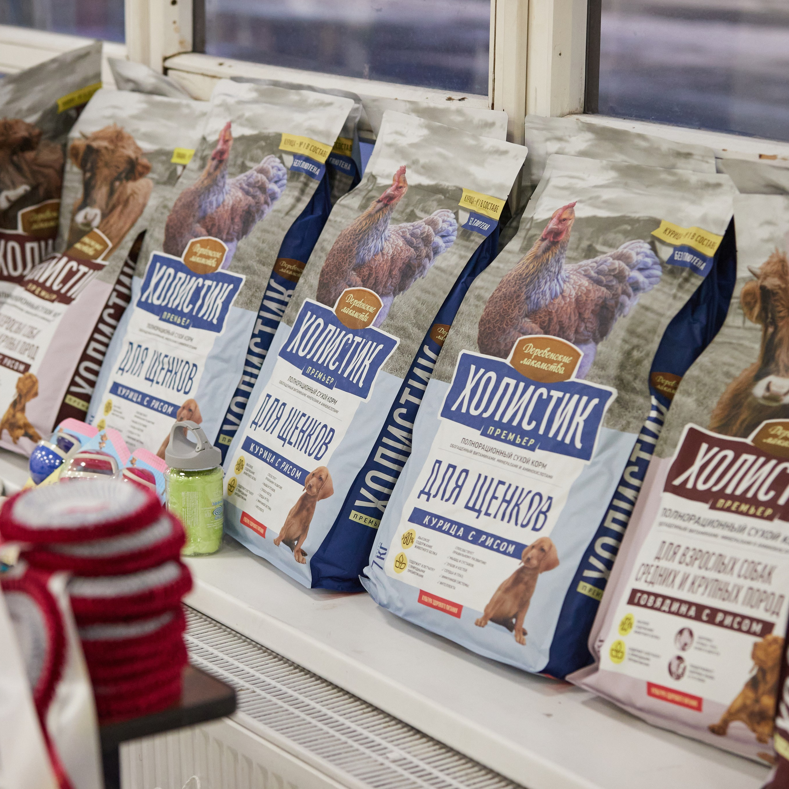 10-11.02.2024 ВЫСТАВКА СОБАК ВСЕХ ПОРОД (САС, ЧФ). Кинологический клуб РКФ РФСС СЕНСАЦИЯ