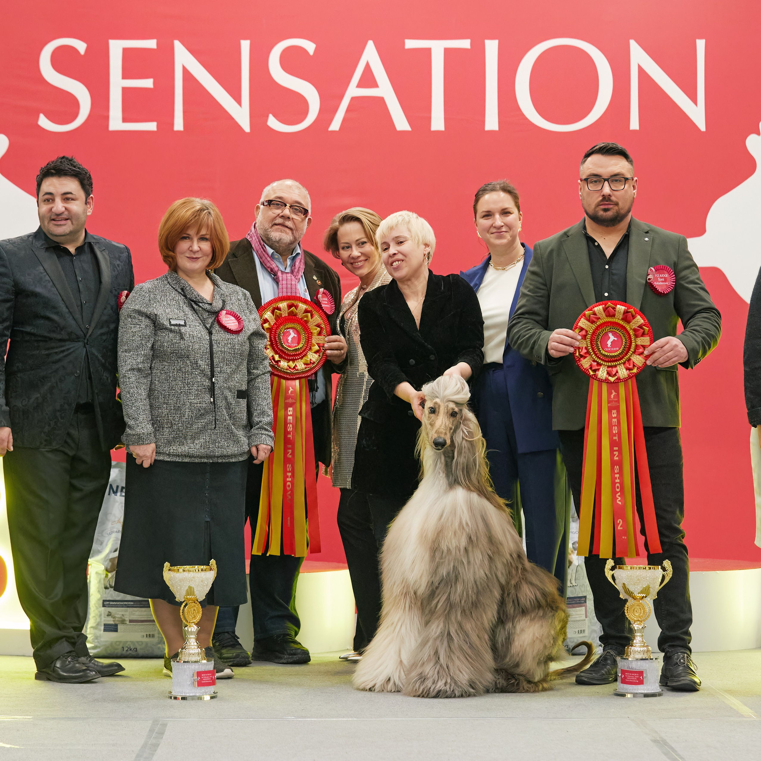 10-11.02.2024 ВЫСТАВКА СОБАК ВСЕХ ПОРОД (САС, ЧФ). Кинологический клуб РКФ РФСС СЕНСАЦИЯ