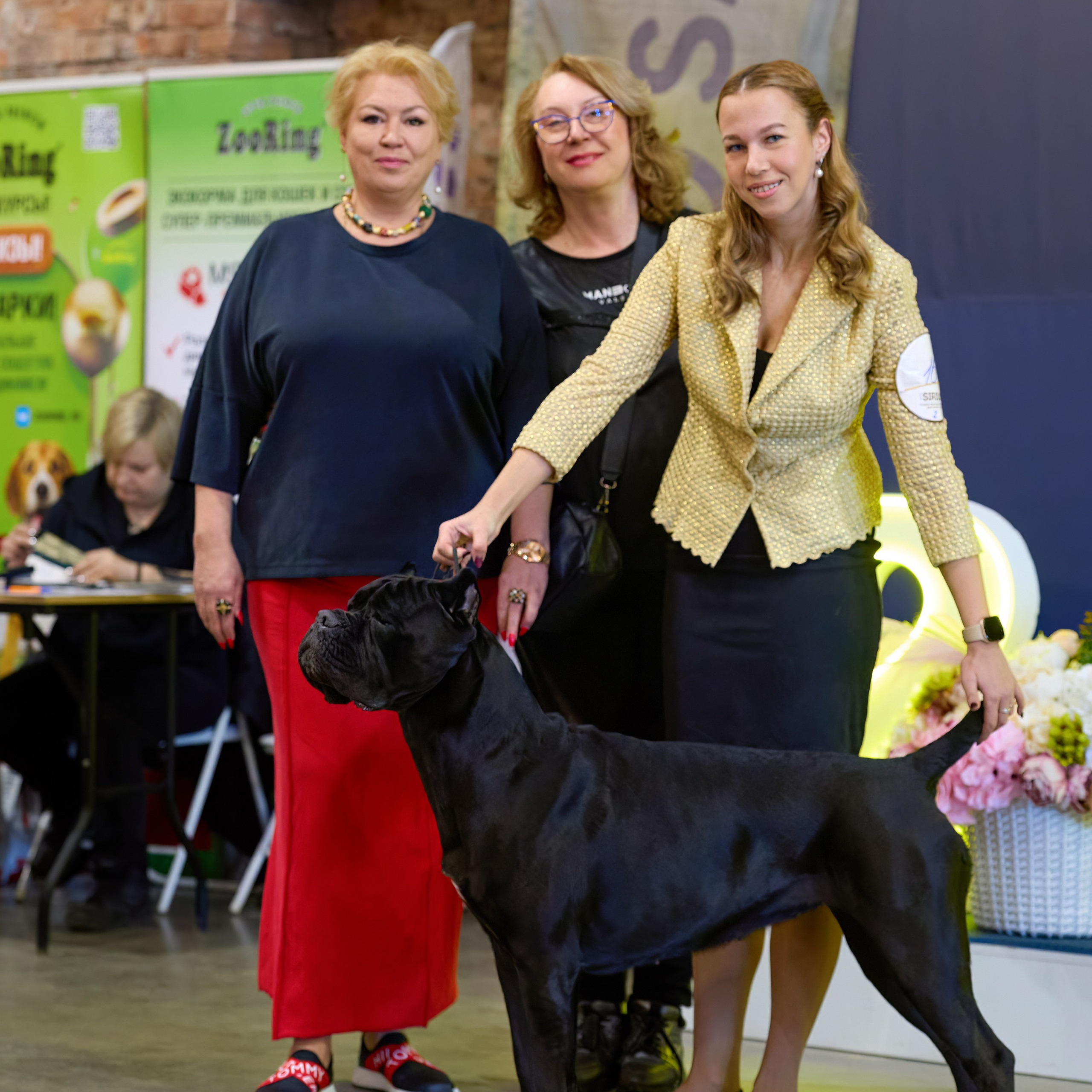 21.03.2026 СПб РОО РУССКИЙ СТИЛЬ. ВЫСТАВКА СОБАК ВСЕХ ПОРОД (САС, ЧФ). Кинологический клуб РКФ РФСС СЕНСАЦИЯ