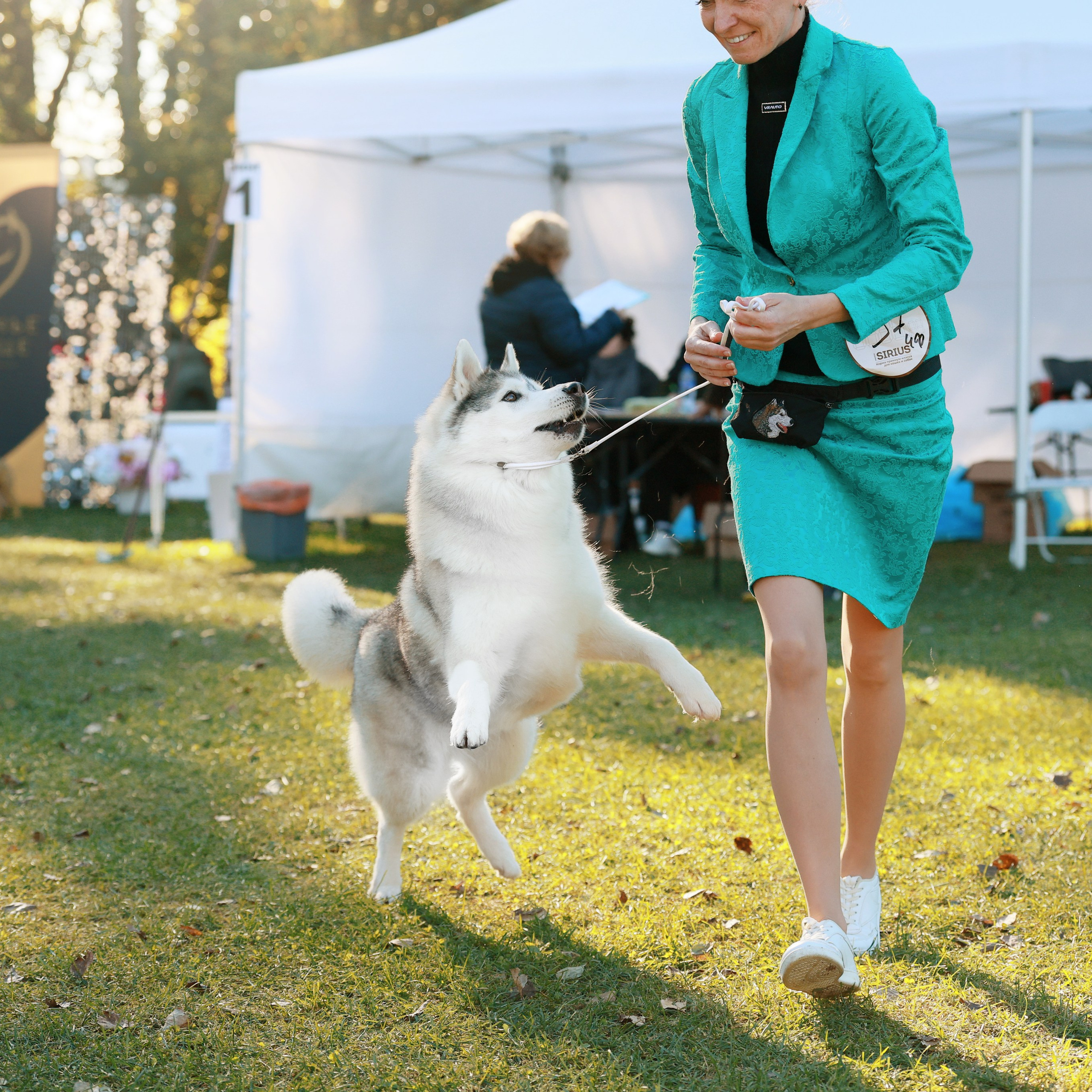27-28.09.2025 ВЫСТАВКИ СОБАК ВСЕХ ПОРОД (САС, ЧРКФ, ЧФ). Кинологический клуб РКФ РФСС СЕНСАЦИЯ