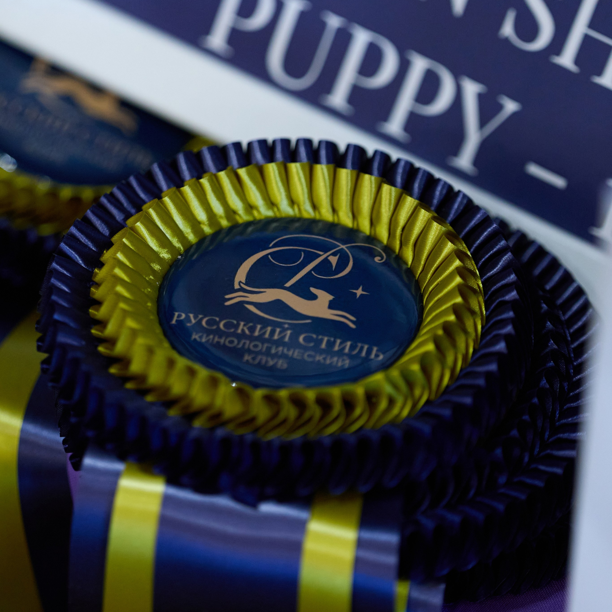 21.03.2026 СПб РОО РУССКИЙ СТИЛЬ. ВЫСТАВКА СОБАК ВСЕХ ПОРОД (САС, ЧФ). Кинологический клуб РКФ РФСС СЕНСАЦИЯ