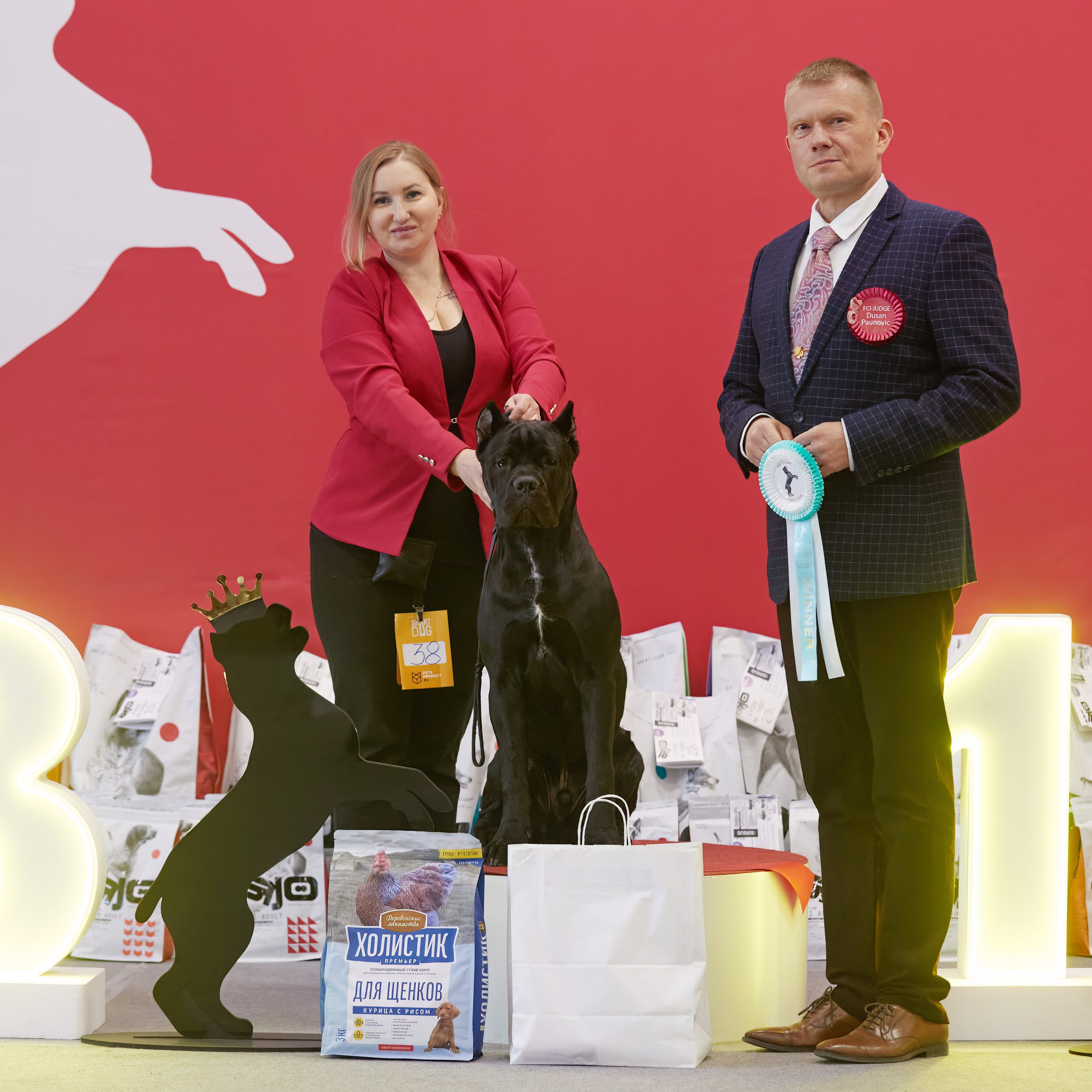 10-11.02.2024 ВЫСТАВКА СОБАК ВСЕХ ПОРОД (САС, ЧФ). Кинологический клуб РКФ РФСС СЕНСАЦИЯ