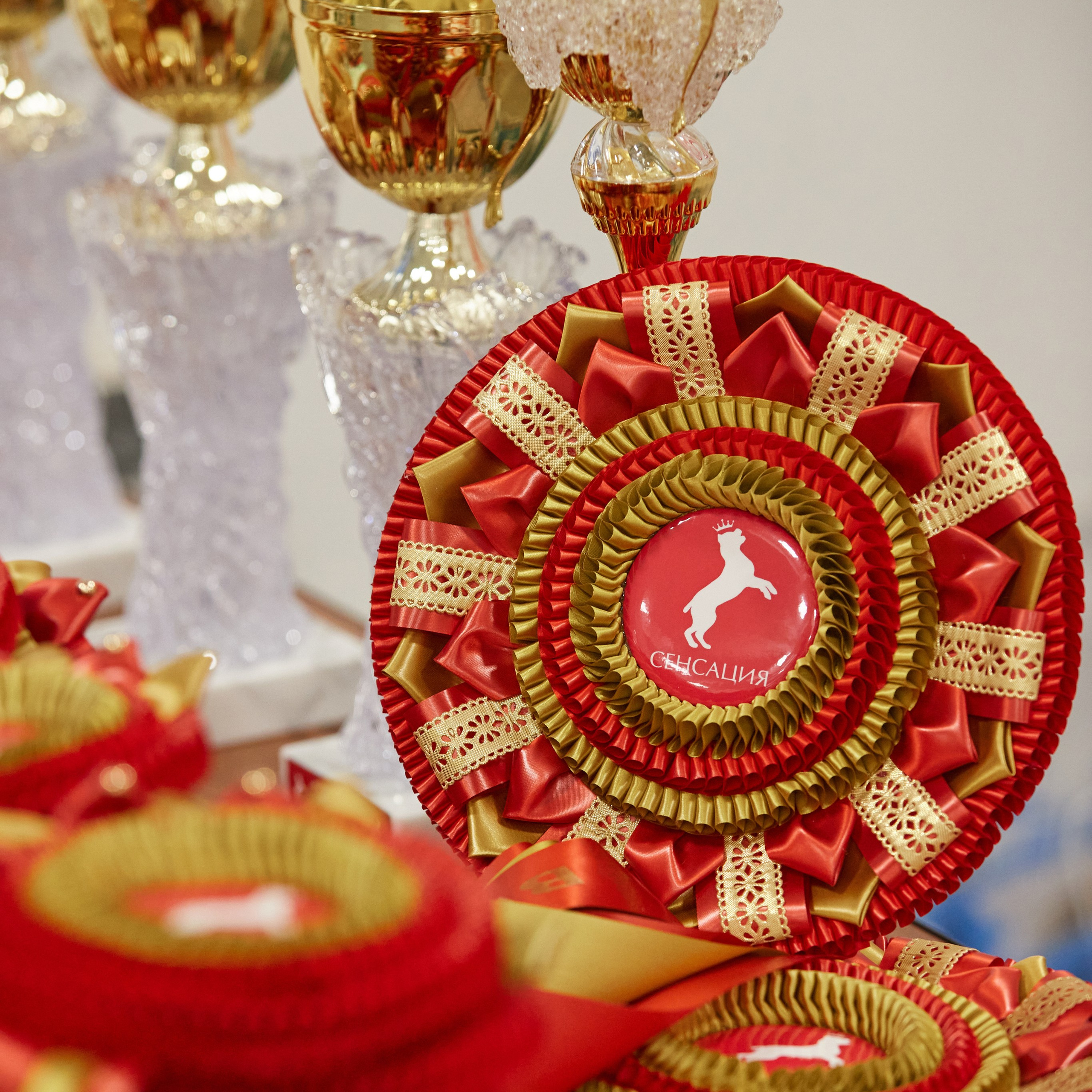 10-11.02.2024 ВЫСТАВКА СОБАК ВСЕХ ПОРОД (САС, ЧФ). Кинологический клуб РКФ РФСС СЕНСАЦИЯ