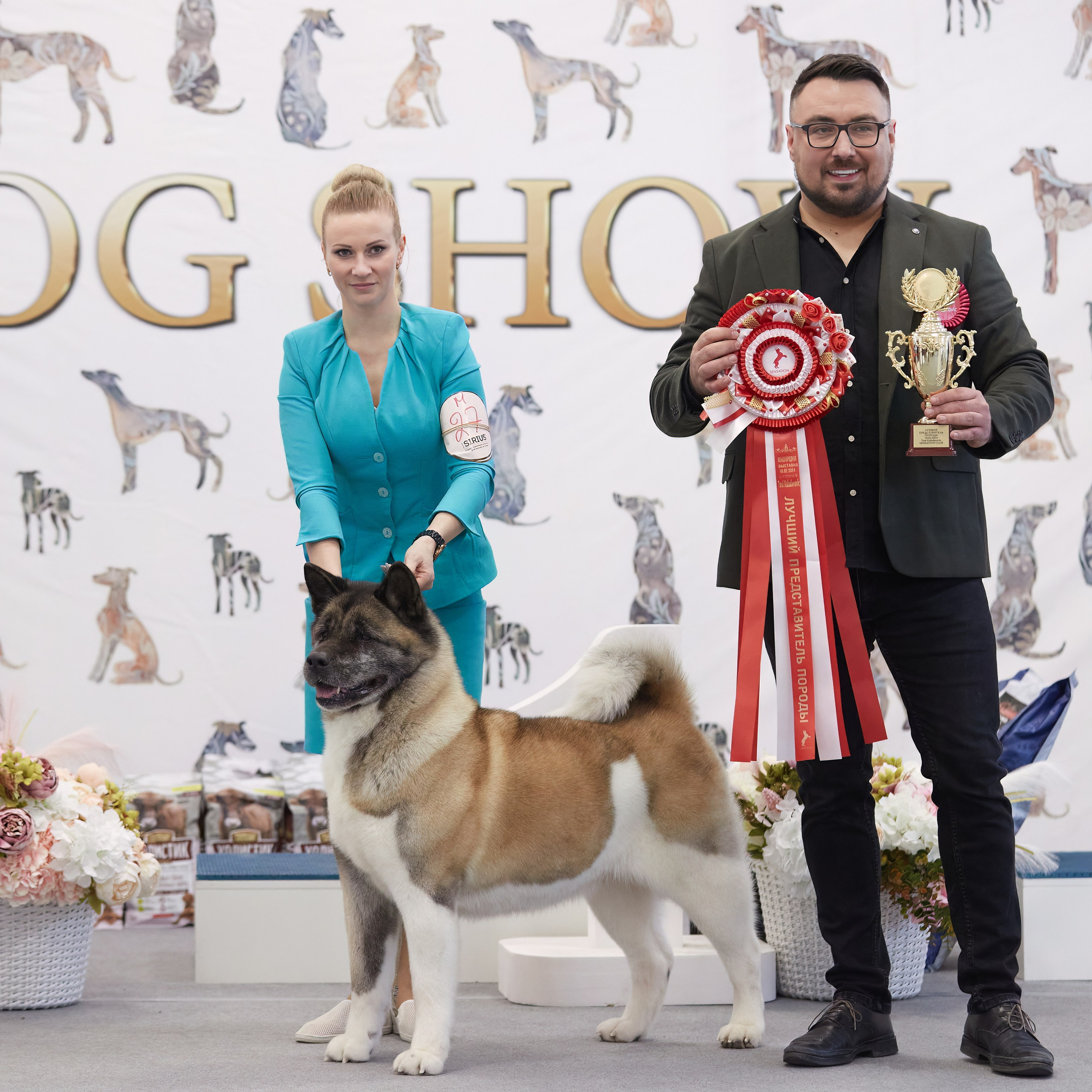 10-11.02.2024 ВЫСТАВКА СОБАК ВСЕХ ПОРОД (САС, ЧФ). Кинологический клуб РКФ РФСС СЕНСАЦИЯ