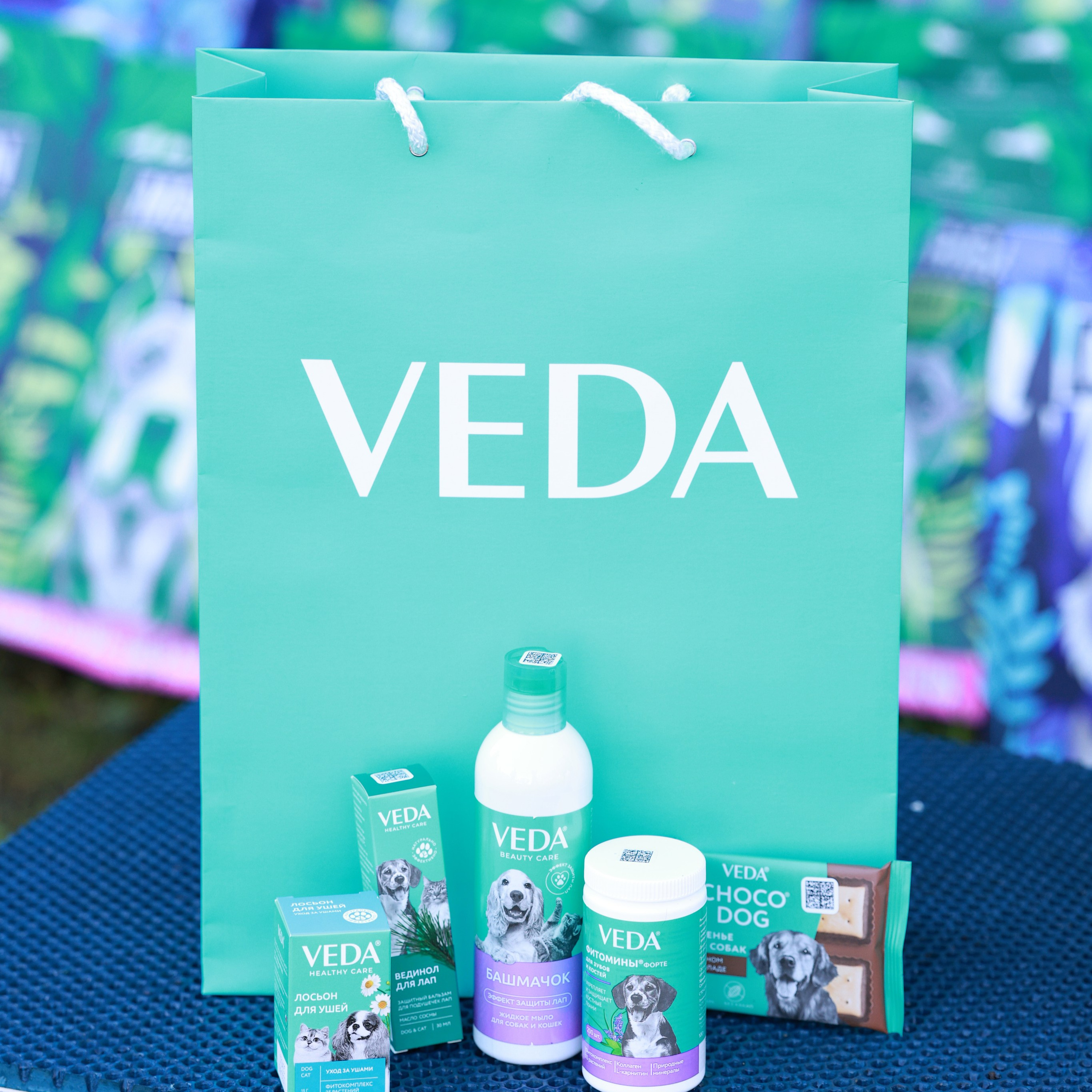 27-28.09.2025 ВЫСТАВКИ СОБАК ВСЕХ ПОРОД (САС, ЧРКФ, ЧФ). Кинологический клуб РКФ РФСС СЕНСАЦИЯ