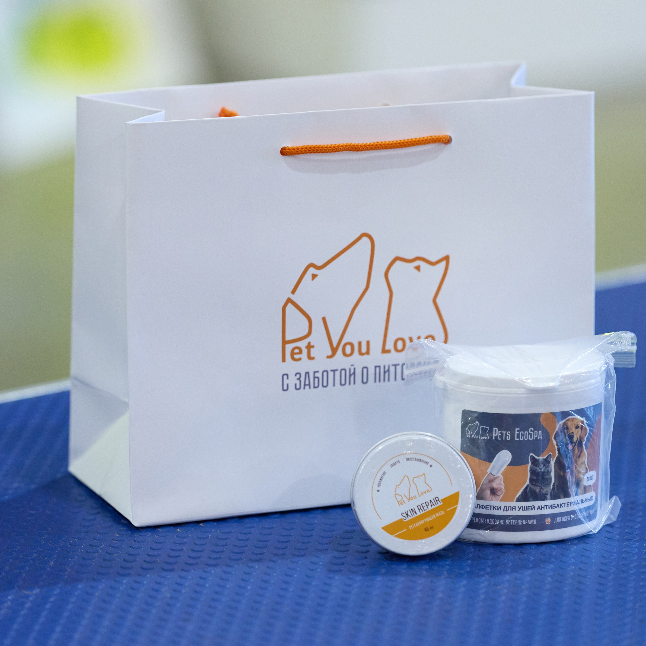 21.03.2026 СПб РОО РУССКИЙ СТИЛЬ. ВЫСТАВКА СОБАК ВСЕХ ПОРОД (САС, ЧФ). Кинологический клуб РКФ РФСС СЕНСАЦИЯ